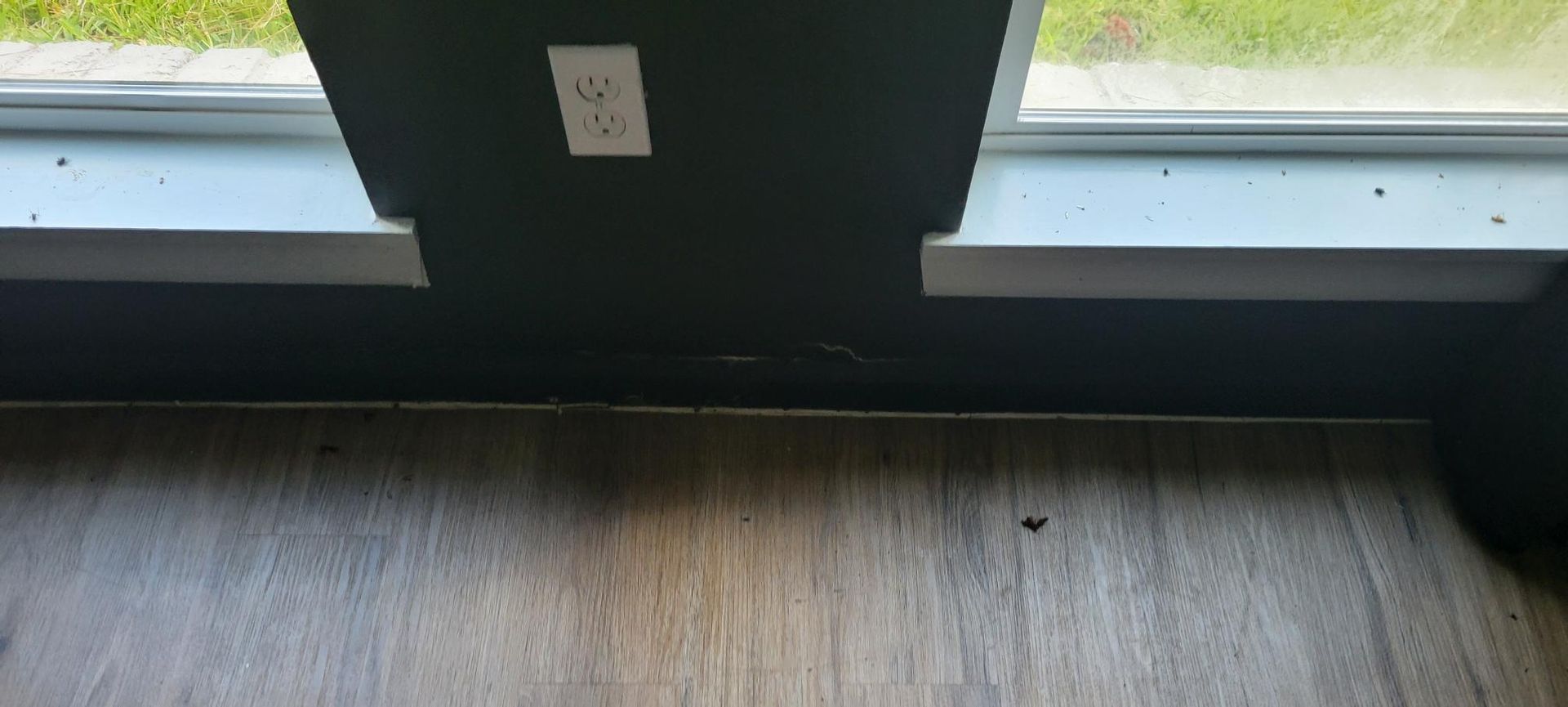 Dark wall with an outlet, a white window sill, and a wood floor. Green foliage is visible outside.