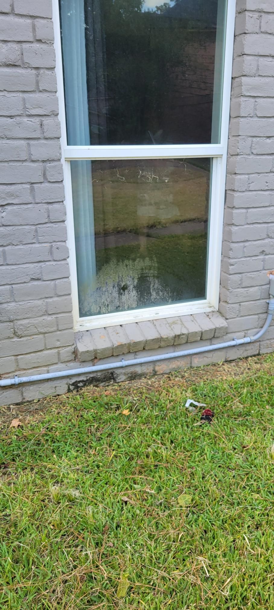 Window in a brick wall, reflecting outdoors. Grass in foreground, pipe below the window.