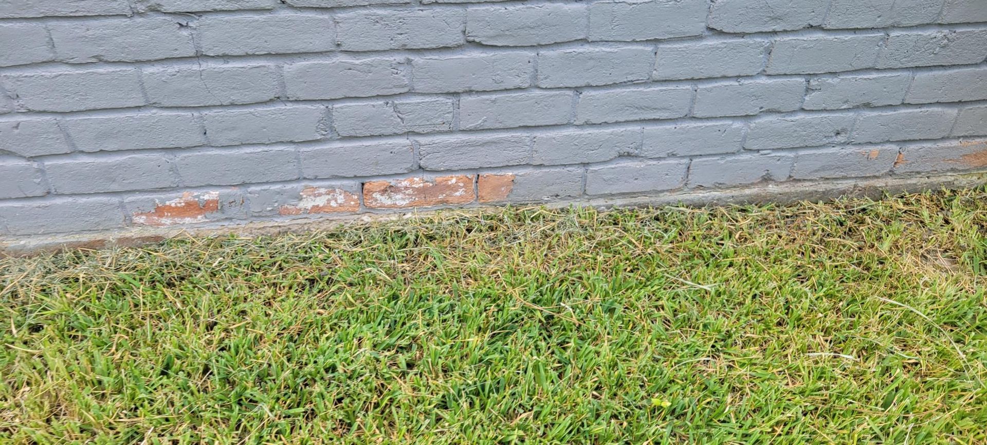 A gray brick wall borders green grass. Brickwork has a patch of exposed red bricks at the bottom.