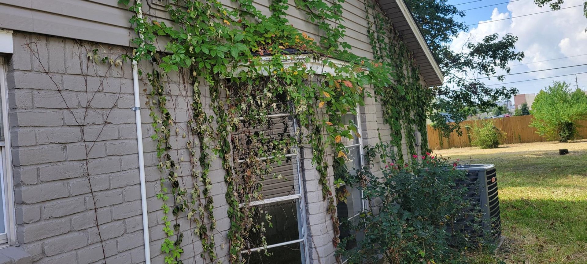 Exterior wall with door covered in climbing vines. A/C unit sits on a green lawn with a tree and blue sky.