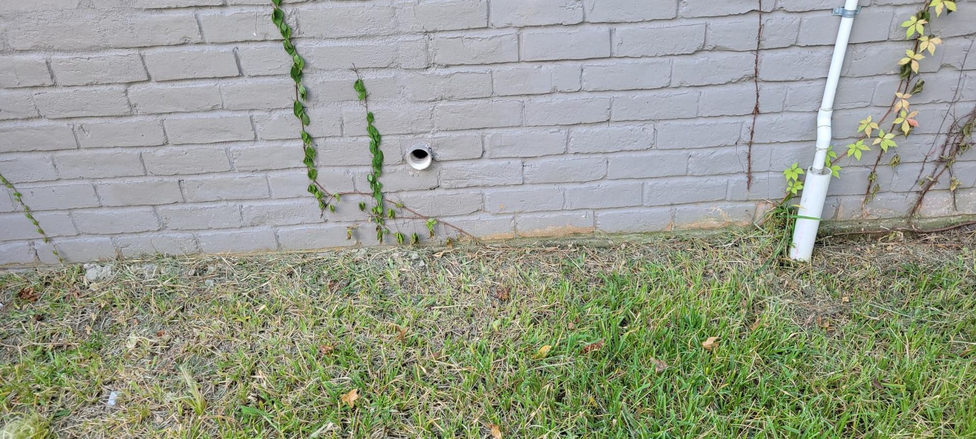 Gray brick wall with a patch of grass in front of it. There is a small pipe sticking out of the wall.