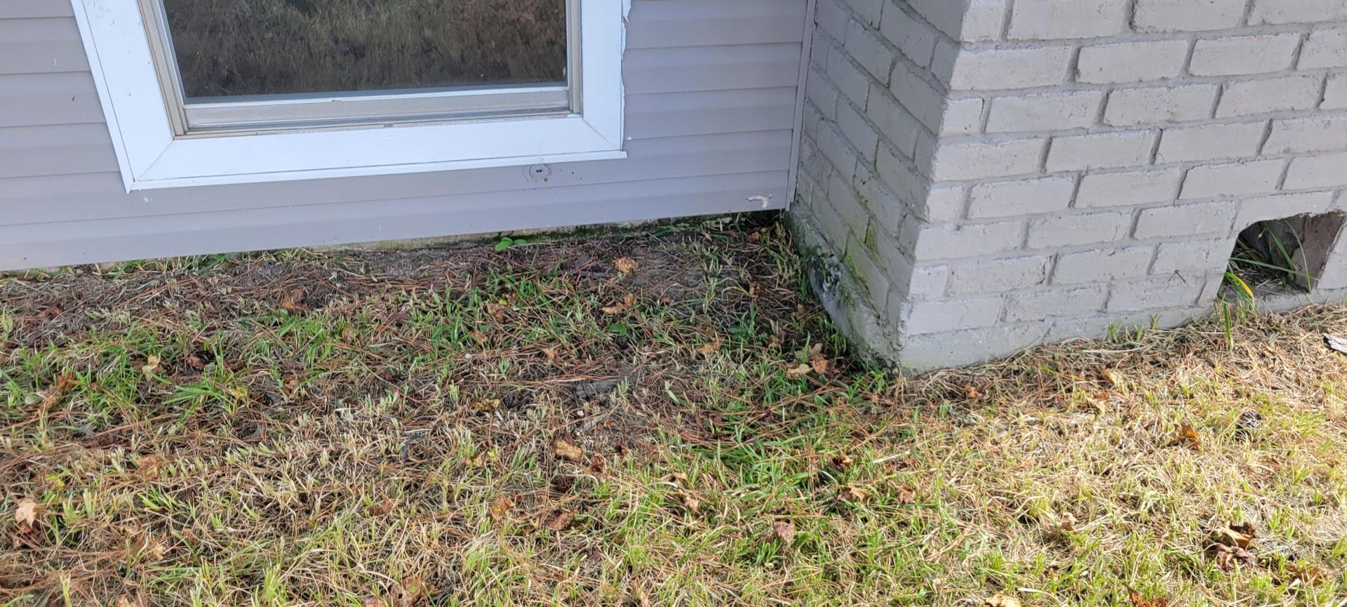 Exterior view of a house corner with a window and brick chimney; overgrown grass and dry leaves.