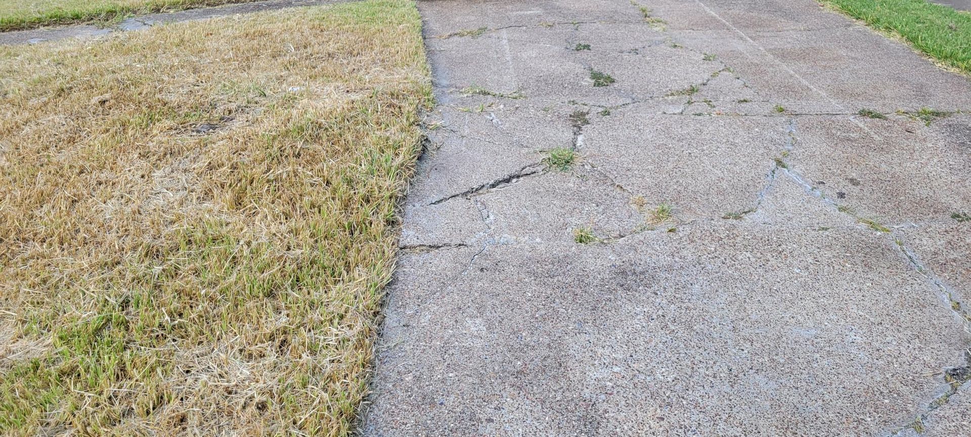 Dry grass next to a cracked concrete surface.