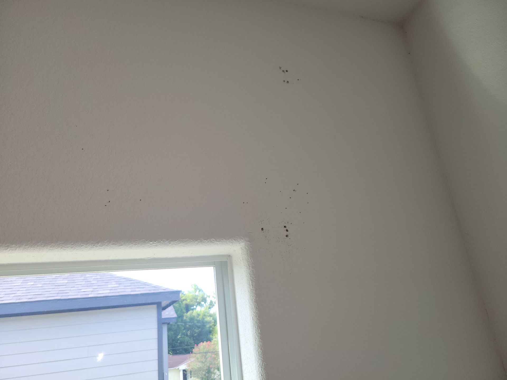 White interior wall with dark spots near a window.