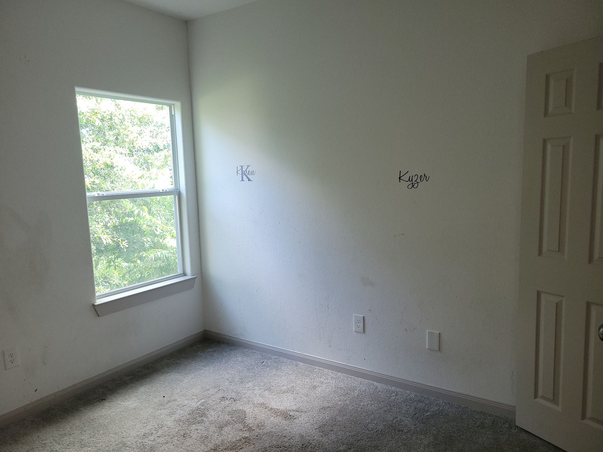 Empty room with window, door, and carpet. White walls show marks; daylight shines through window.