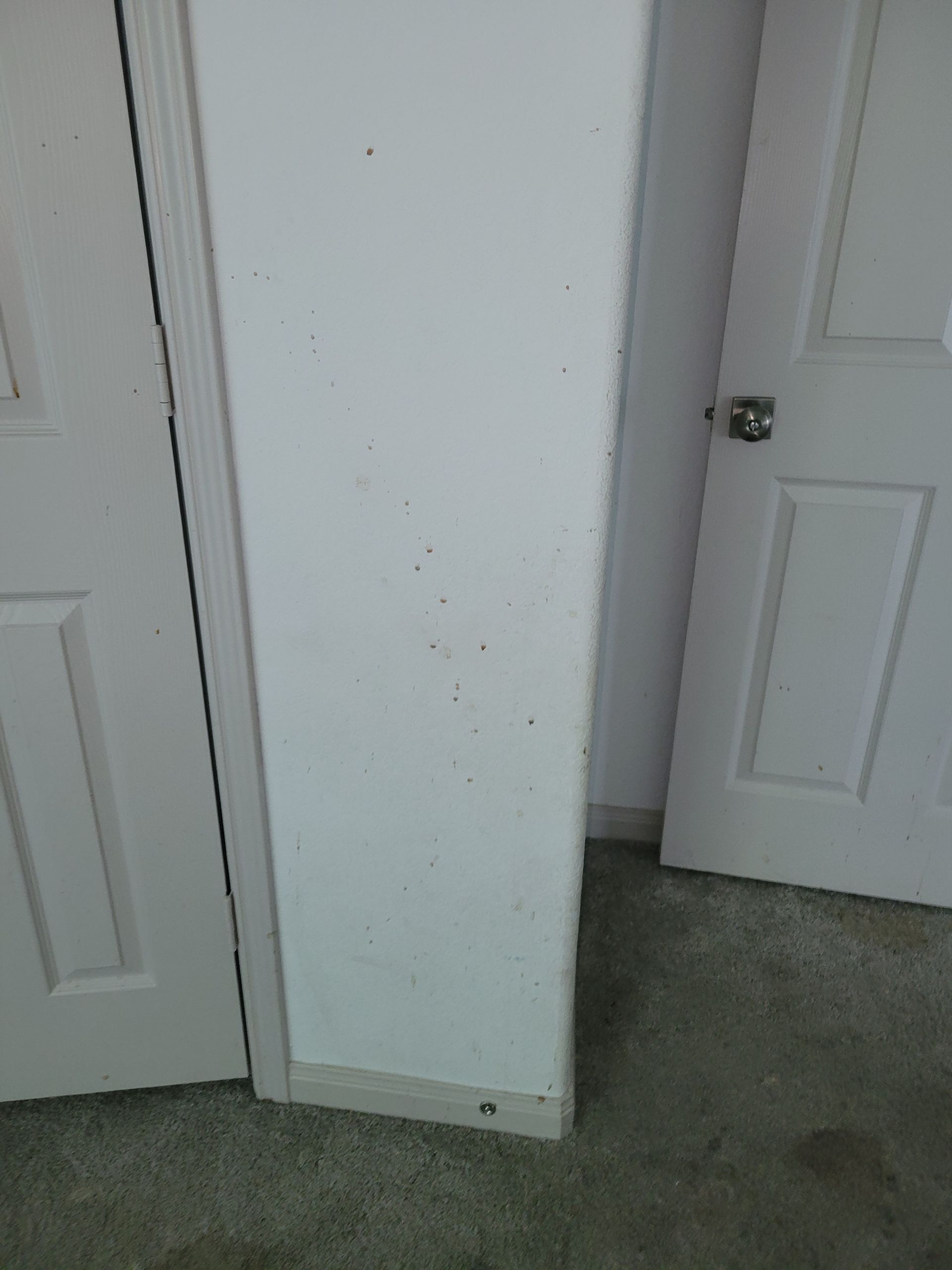 White doors flanking a white wall in a room with carpet.