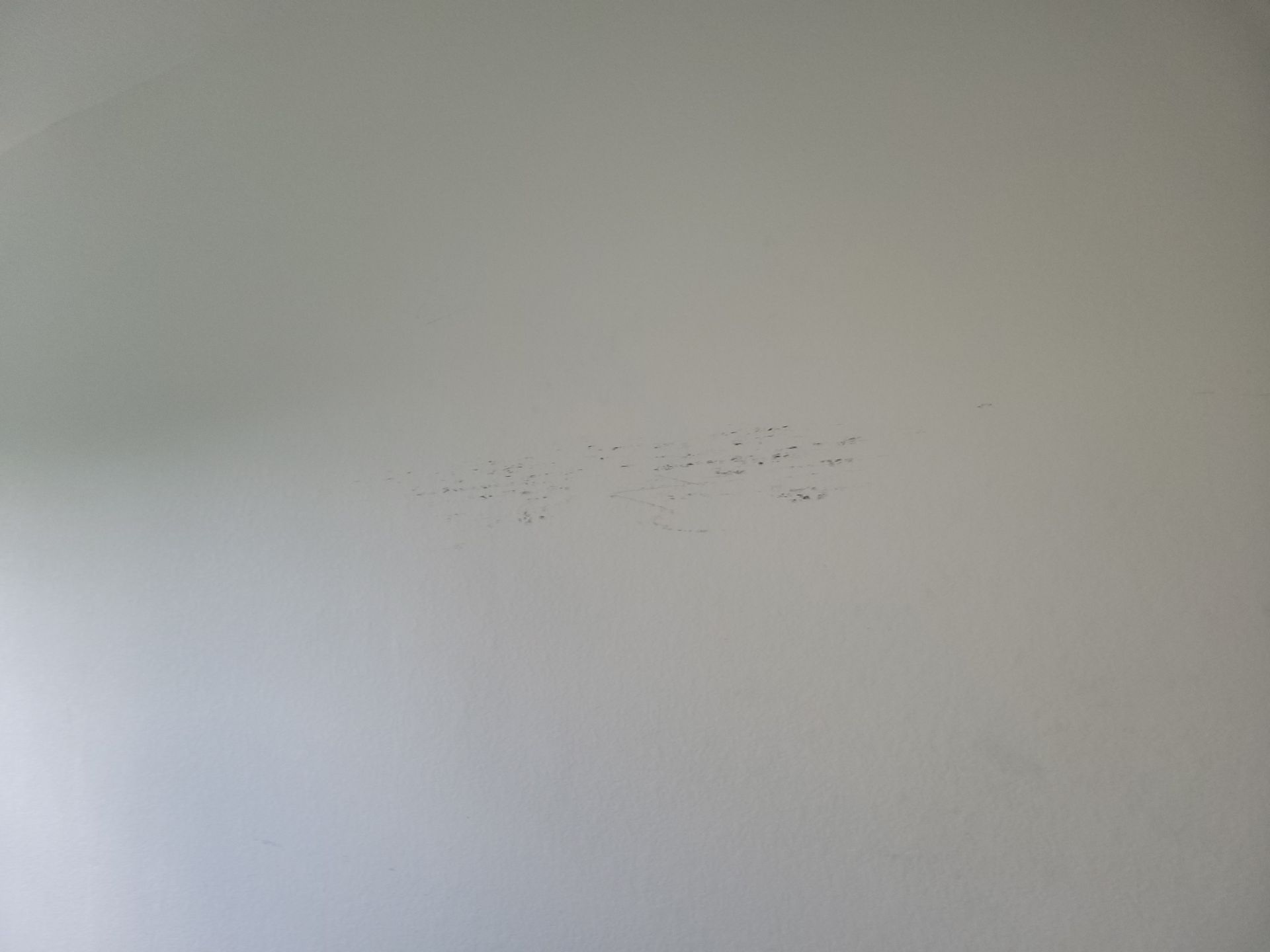 White wall with a cluster of small, dark spots.