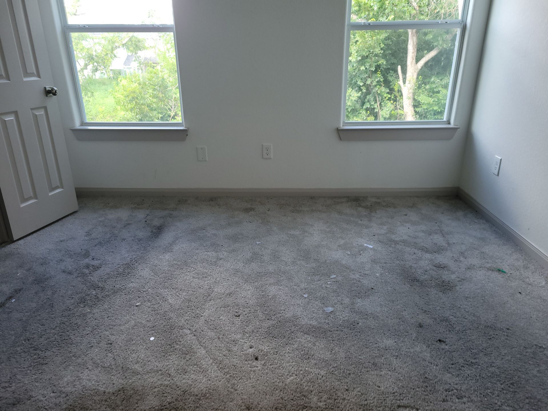 Empty room with light gray carpet, two windows, and a closed white door.