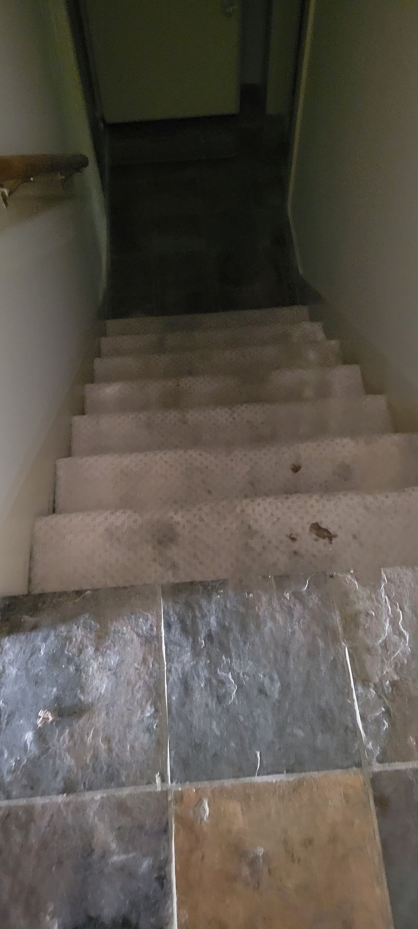 Staircase leading downwards. Stone steps and tile flooring, with handrail on the left. The walls are light.