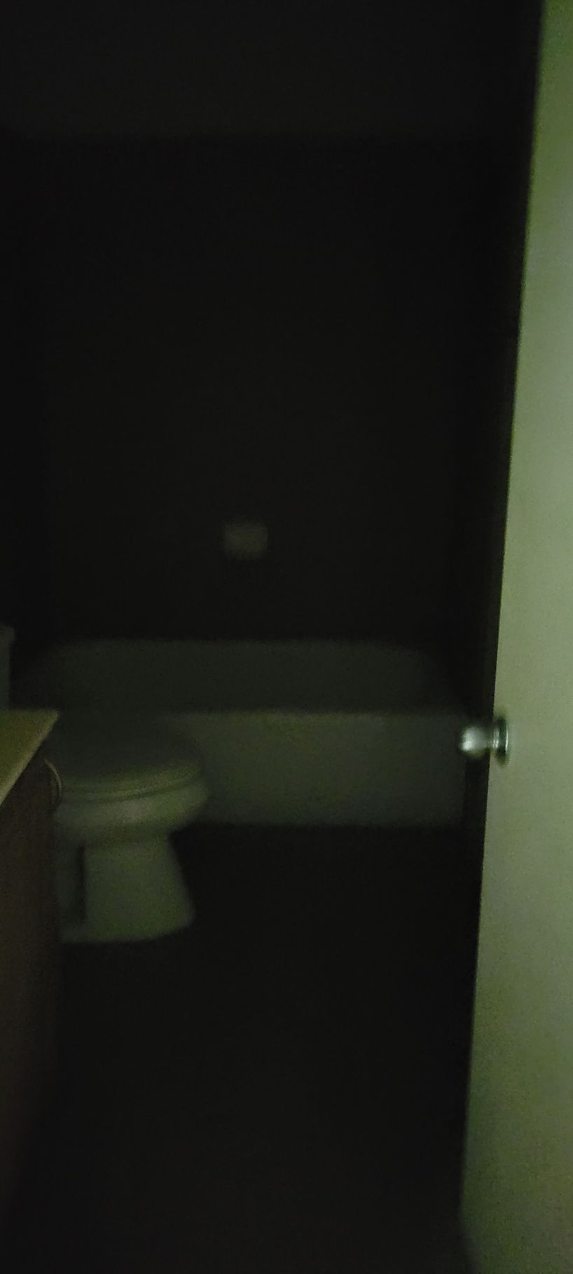 Bathroom interior with toilet, bathtub, and partially open door. Dark with limited lighting.
