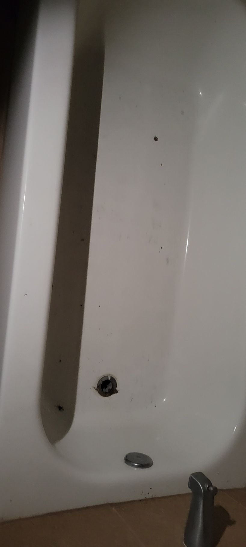 White bathtub with debris, a drain, and a faucet in the bottom right corner.