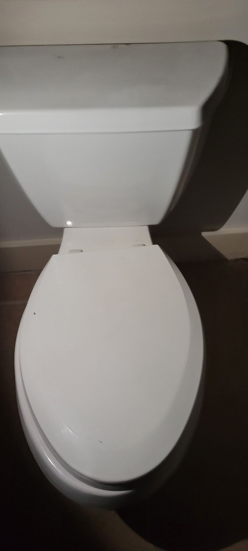 White toilet with the lid closed.