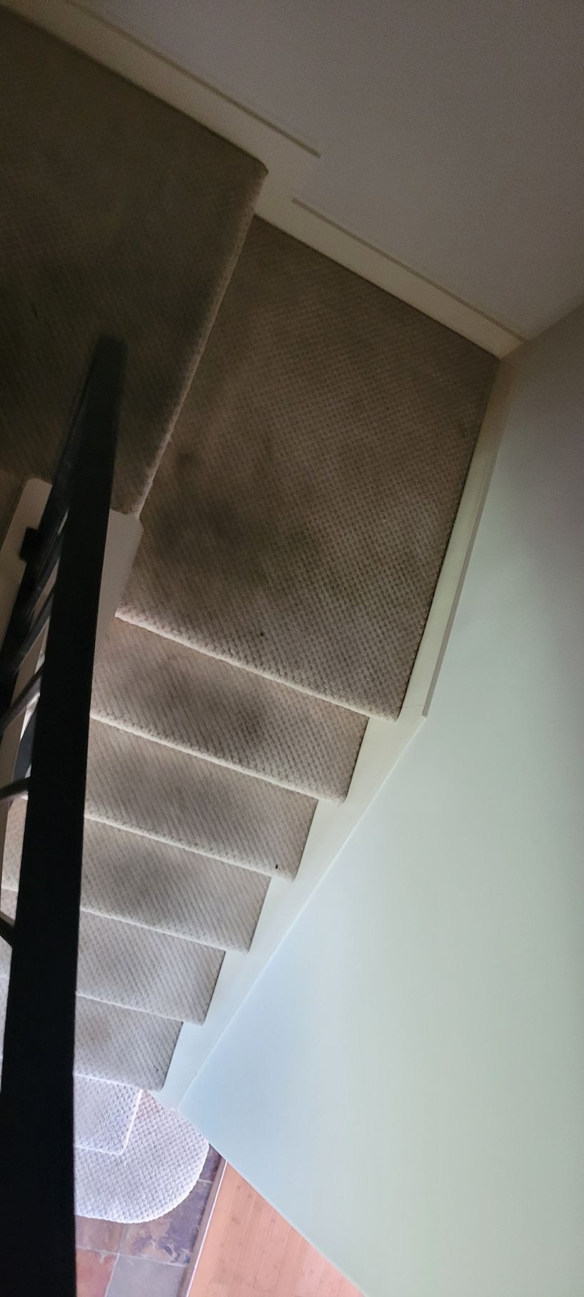 Staircase with carpeted steps and a black handrail, viewed from above. White wall and tan carpet.