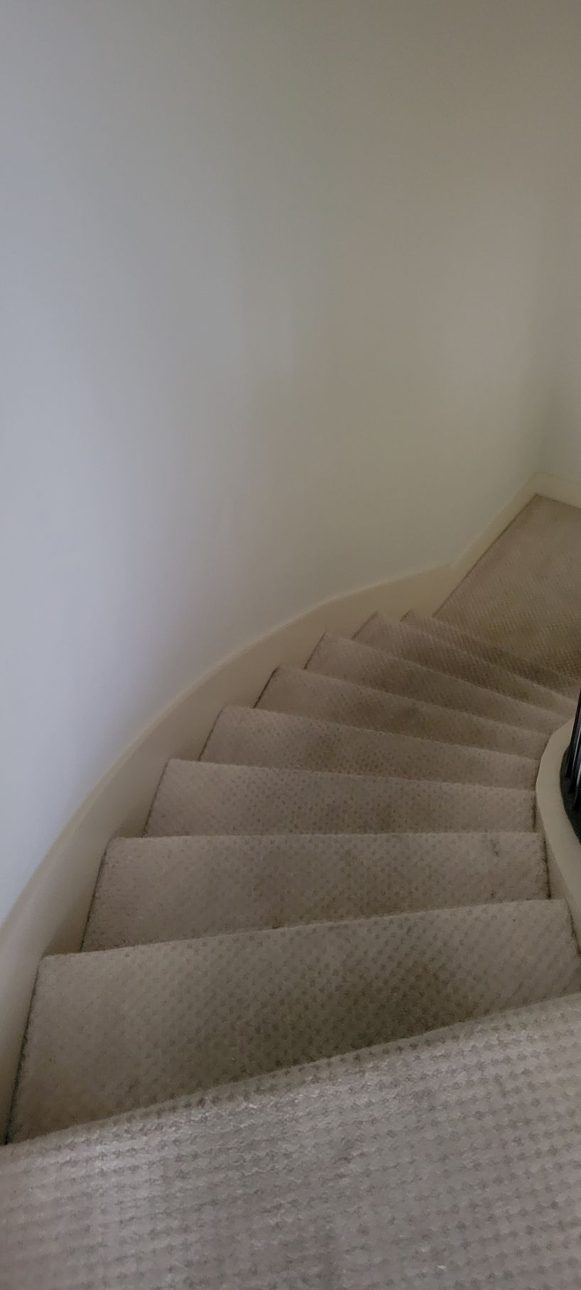 Curved, carpeted staircase with white walls.