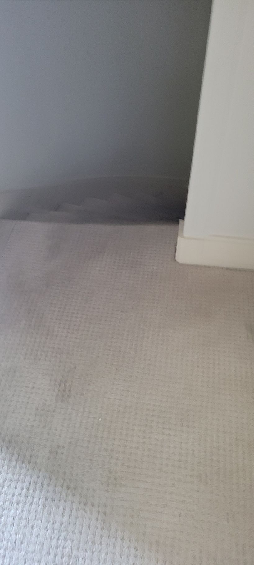 Close-up of a carpet with stains, next to a gray wall and white trim.