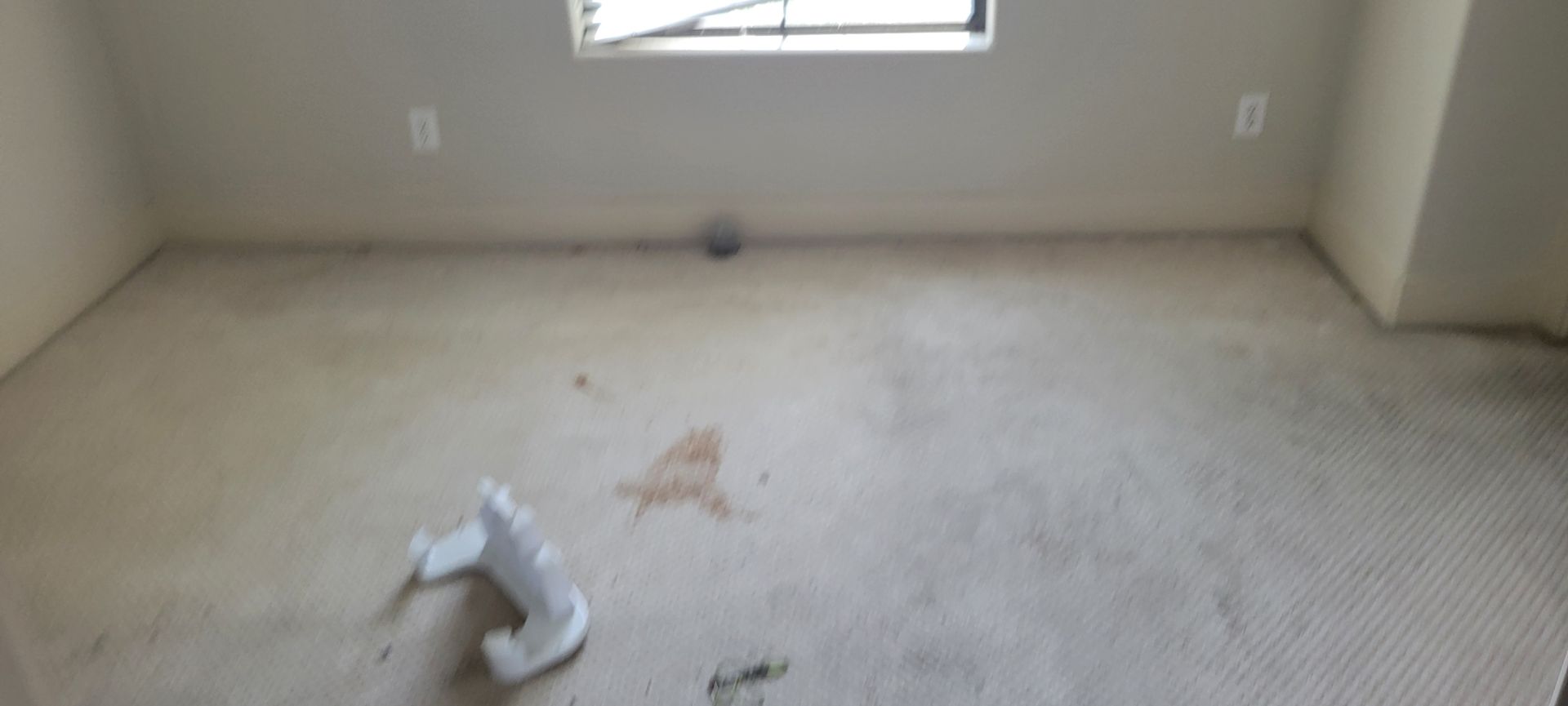 Empty room with stained carpet and a window.