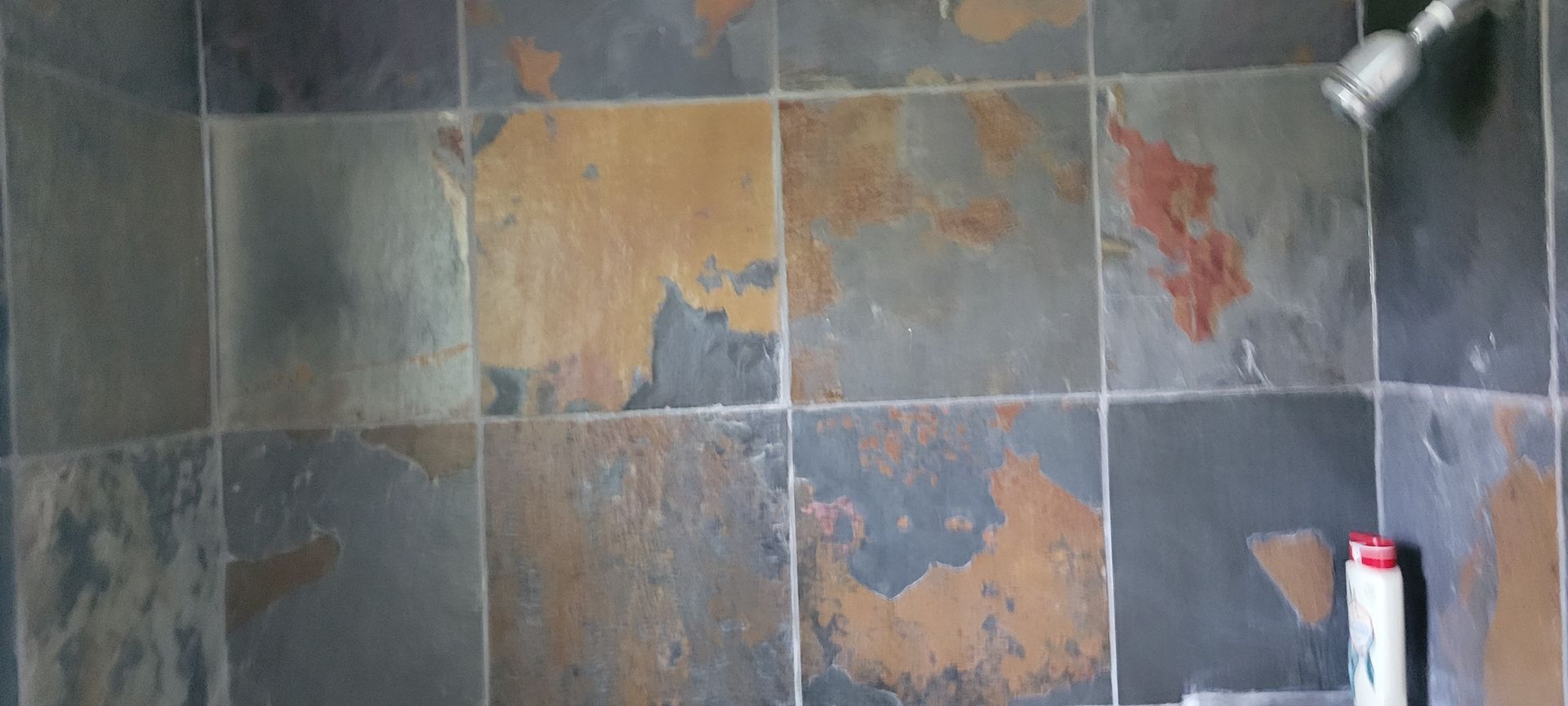 Shower with dark slate tile walls and a shower head. A bottle of shampoo sits on the ledge.