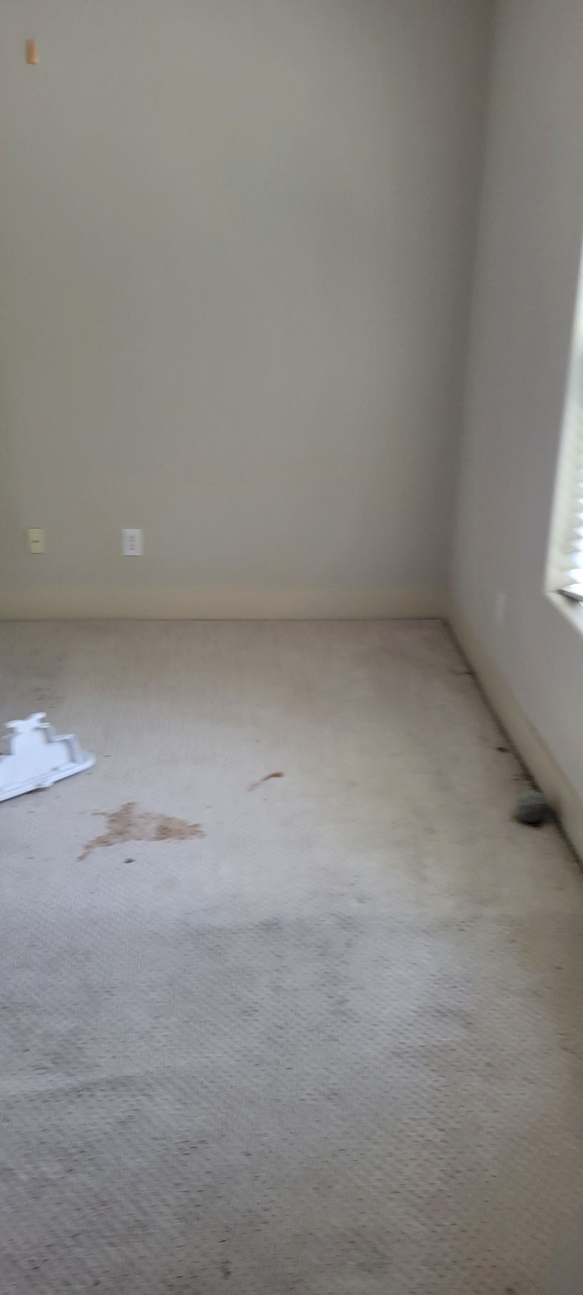 Empty room with beige carpet, light gray walls, and a window with blinds.