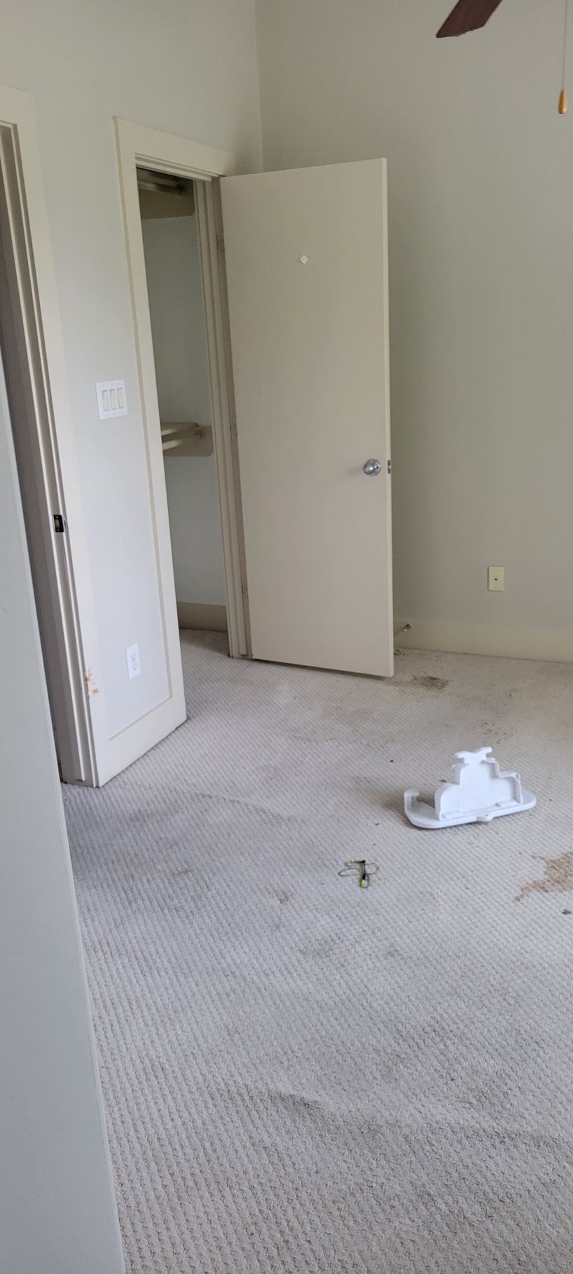 Empty room with open closet and closed doors; dirty carpeted floor.