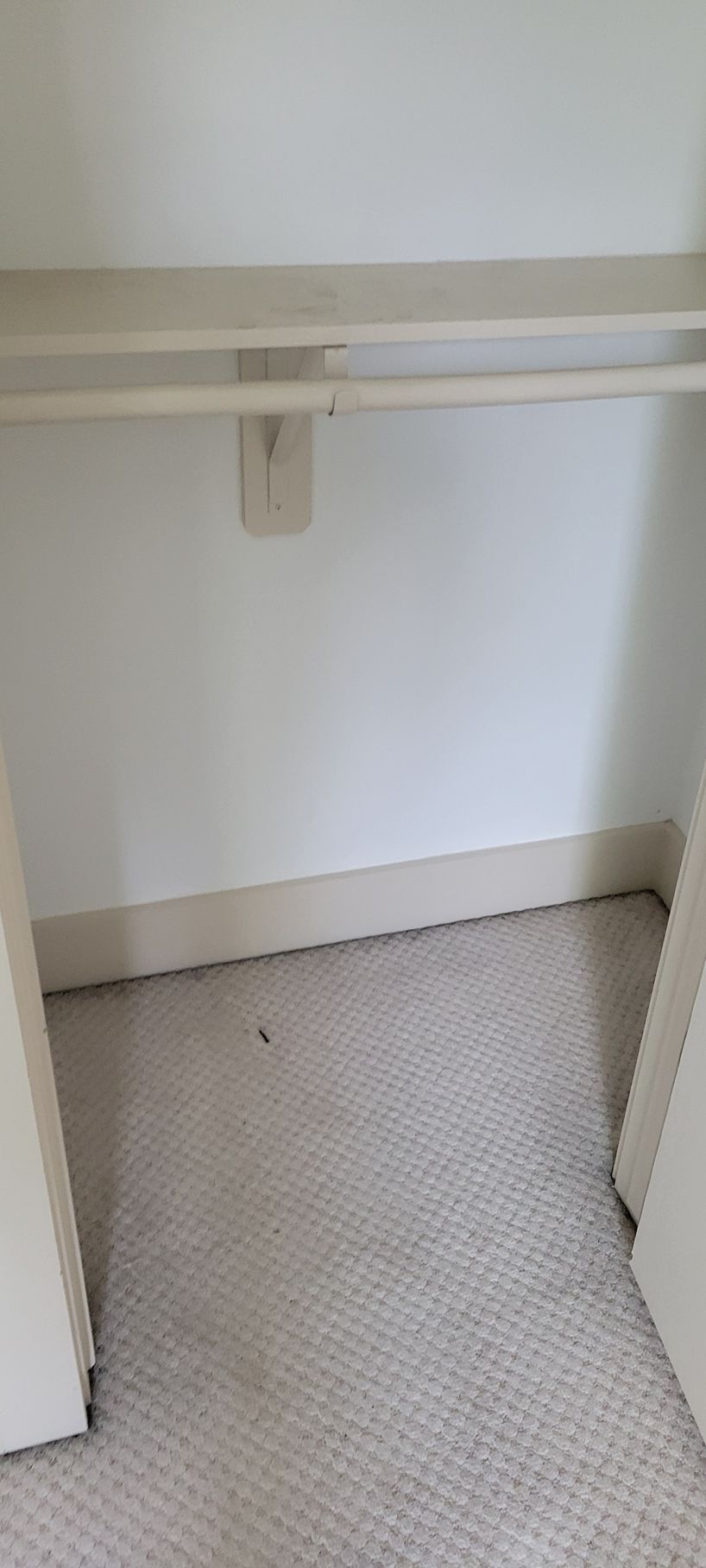 Empty closet with white walls, shelf, and a rod for hanging clothes. Carpeted floor.