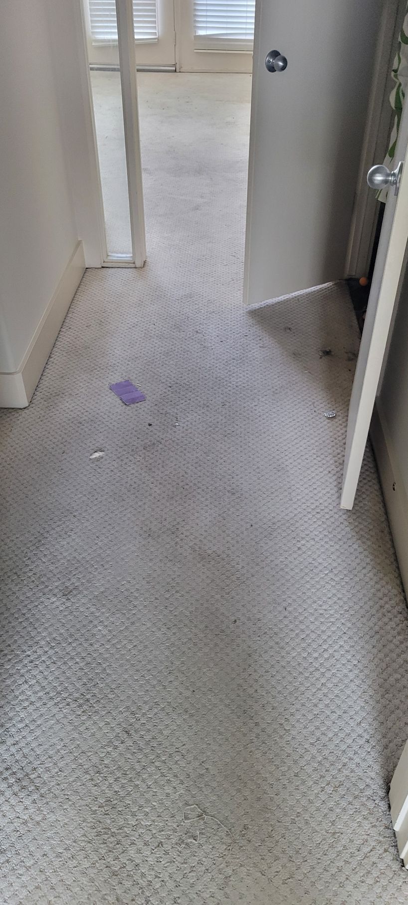 A narrow hallway with a light-colored, stained carpet. An open door is visible on the right.