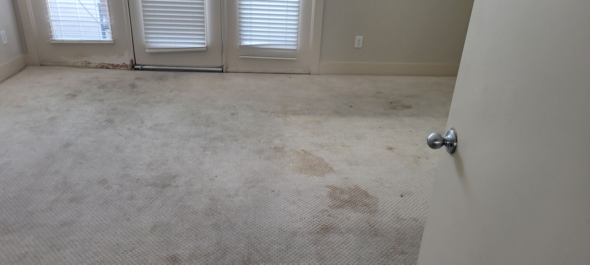 A room with a stained carpet, French doors, and a closed door.
