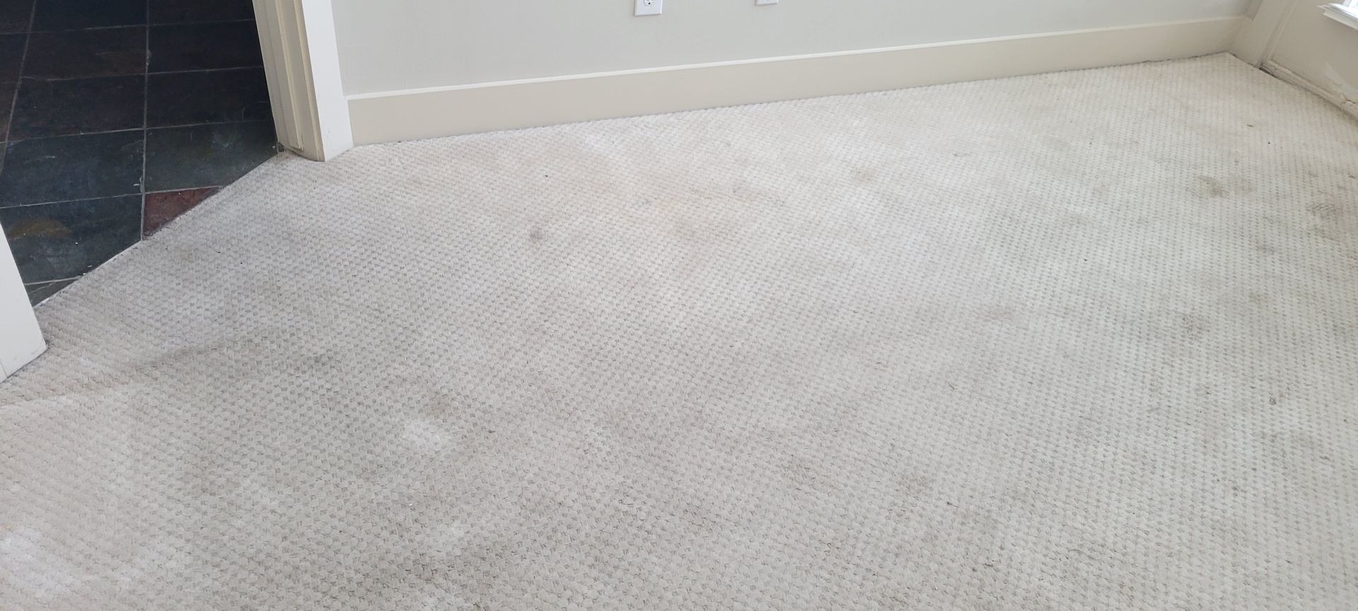 Off-white carpet with stains near a doorway leading to dark flooring.  Beige walls.