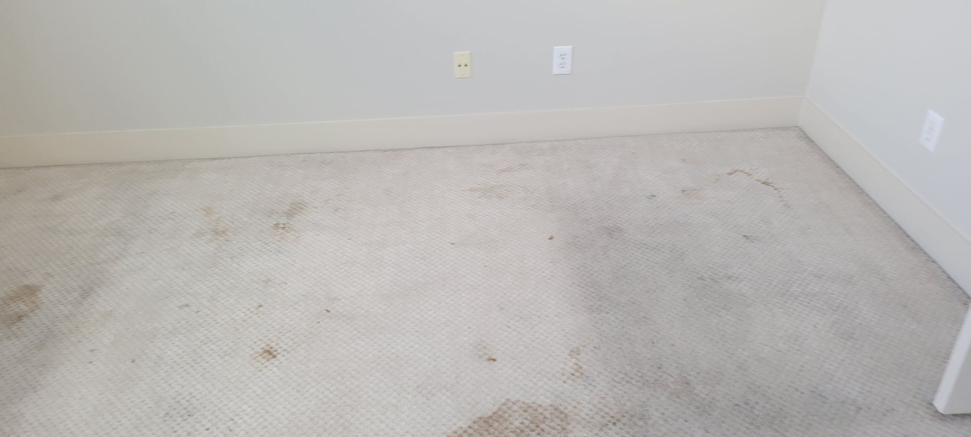 Dirty off-white carpet with brown stains in a room with light beige walls and trim.
