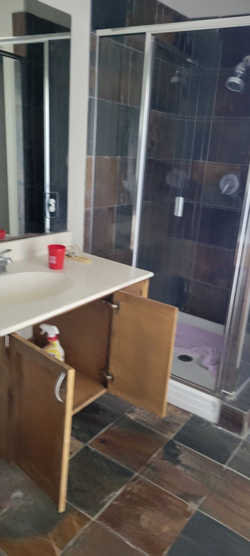 Bathroom with vanity, open cabinet doors, shower stall, and slate tile flooring.
