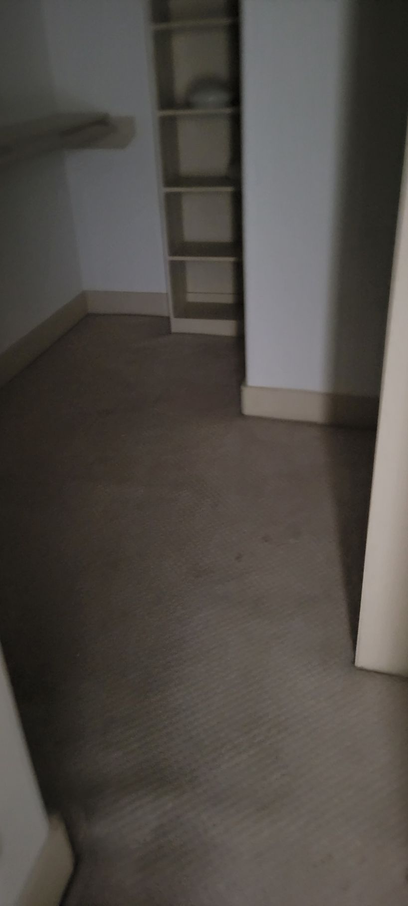 Empty closet with shelving, beige floor and walls.