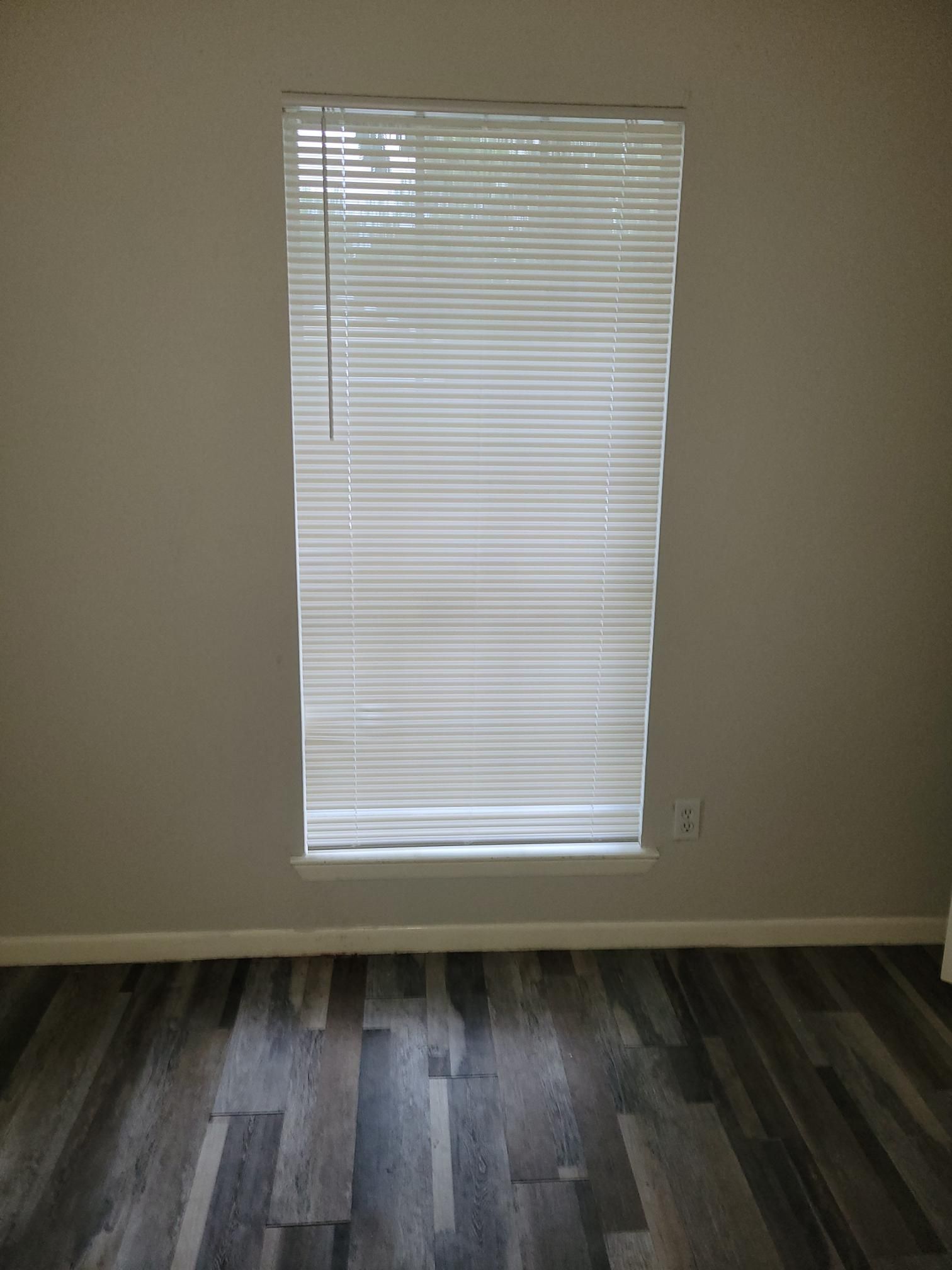 Window with closed blinds in a room with neutral walls and gray-toned wood flooring.