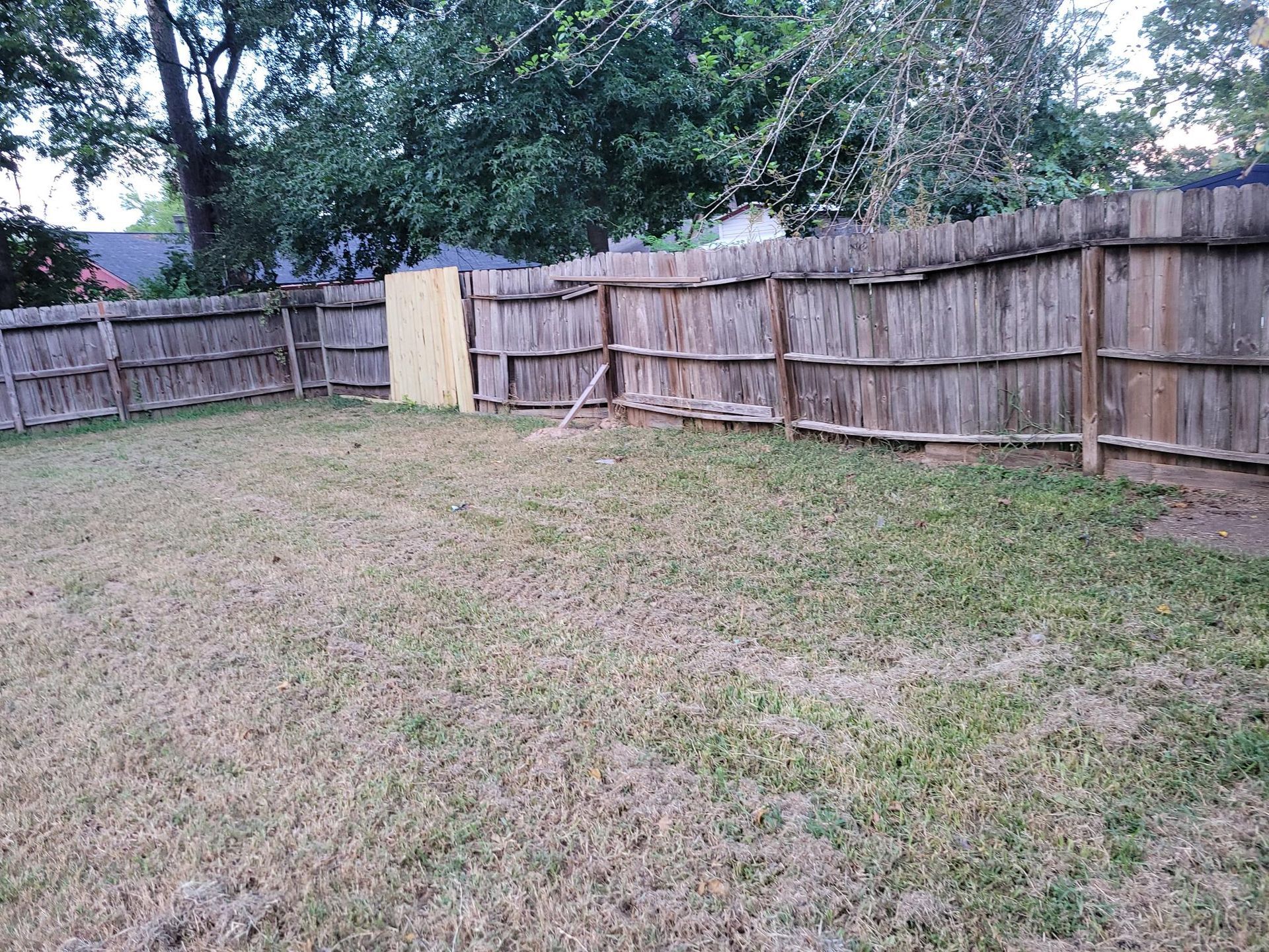 A backyard with a wooden fence and patchy grass. A plywood panel is on the fence.