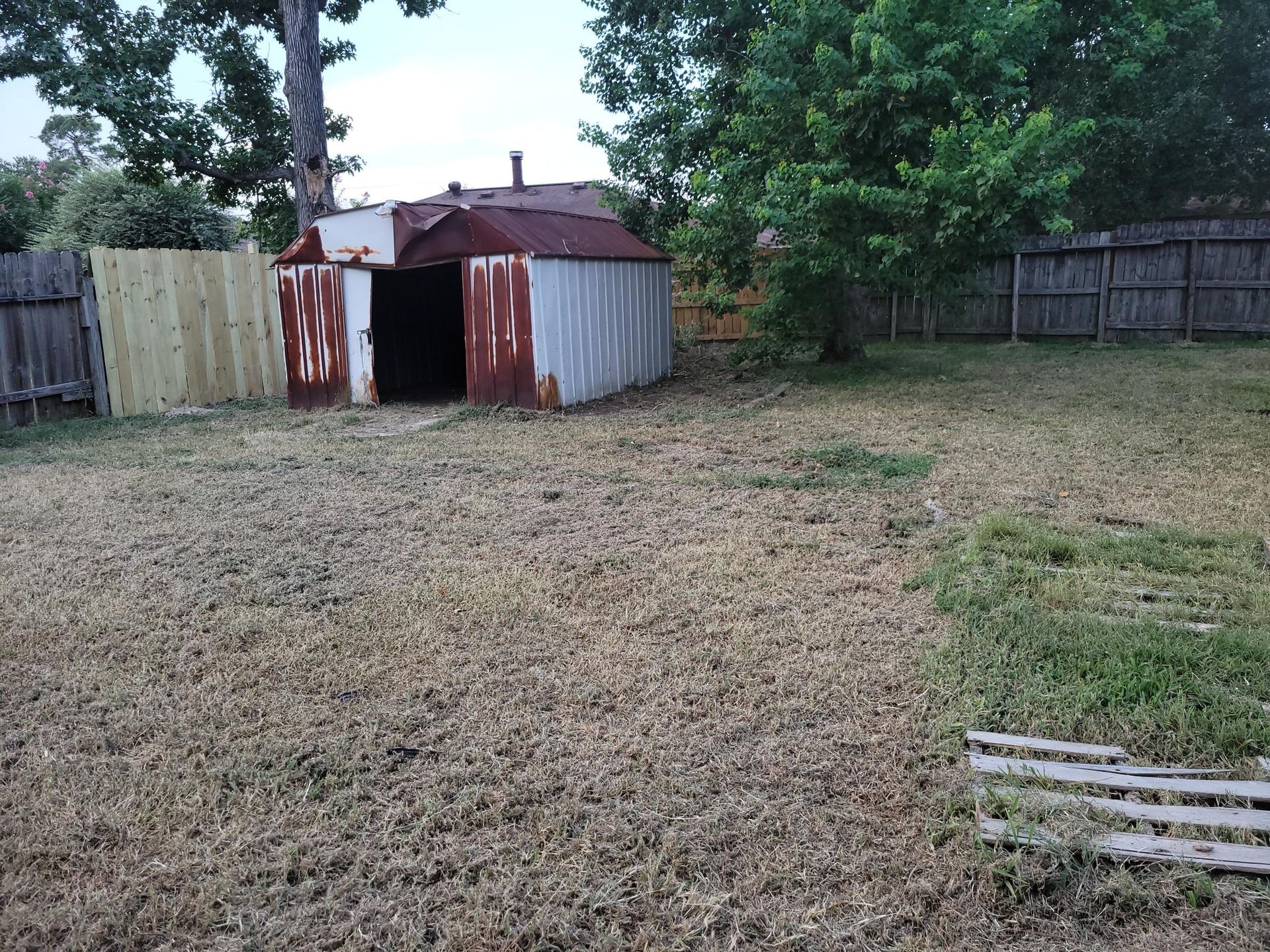 Backyard scene with rusted metal shed, wooden fence, and patchy grass.
