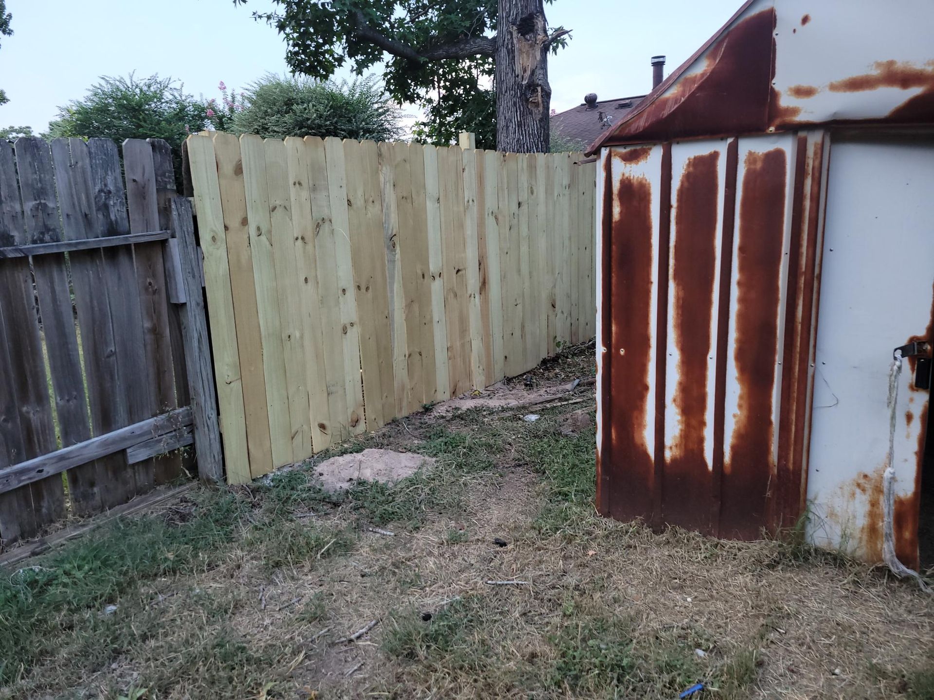 Wooden fence next to a rusted shed and weathered fence in a grassy yard.