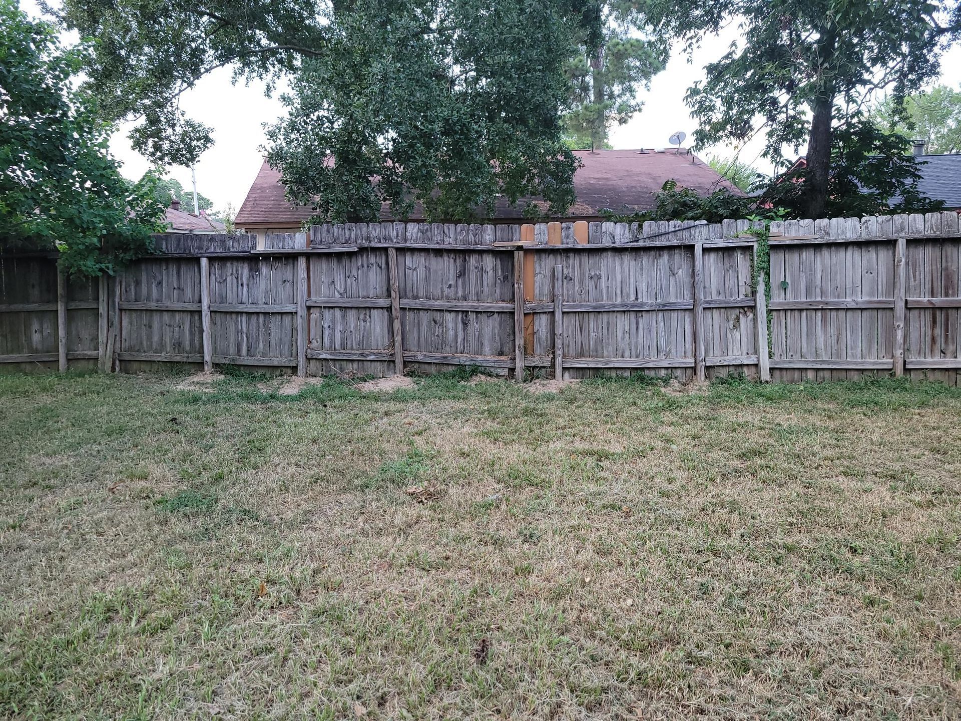 Wooden fence in a grassy yard, trees in the background, overcast sky.