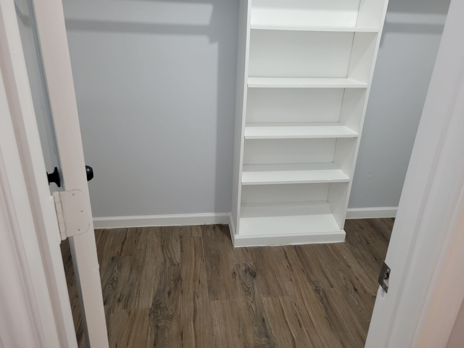 Empty closet with gray walls, wood-look floor, and white bookshelf.