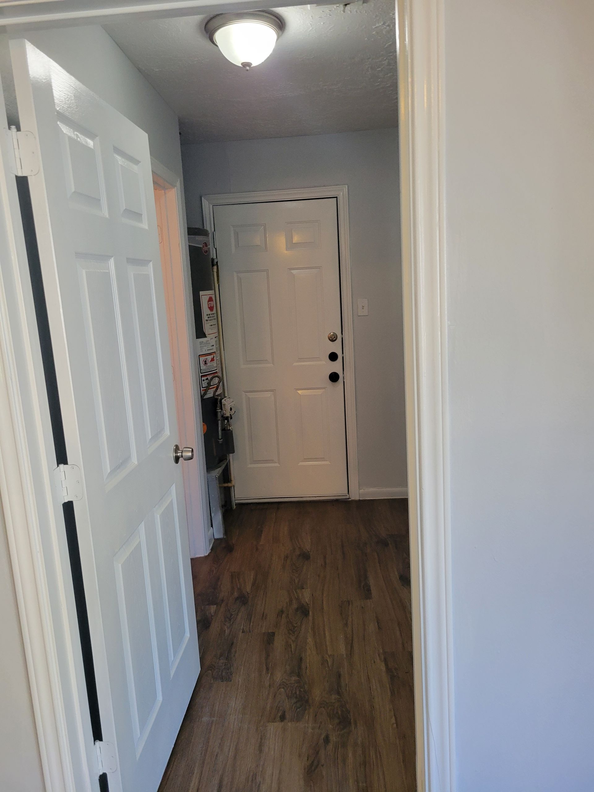 Hallway with white door, wood-look flooring, and a ceiling light. Another white door on the left side.