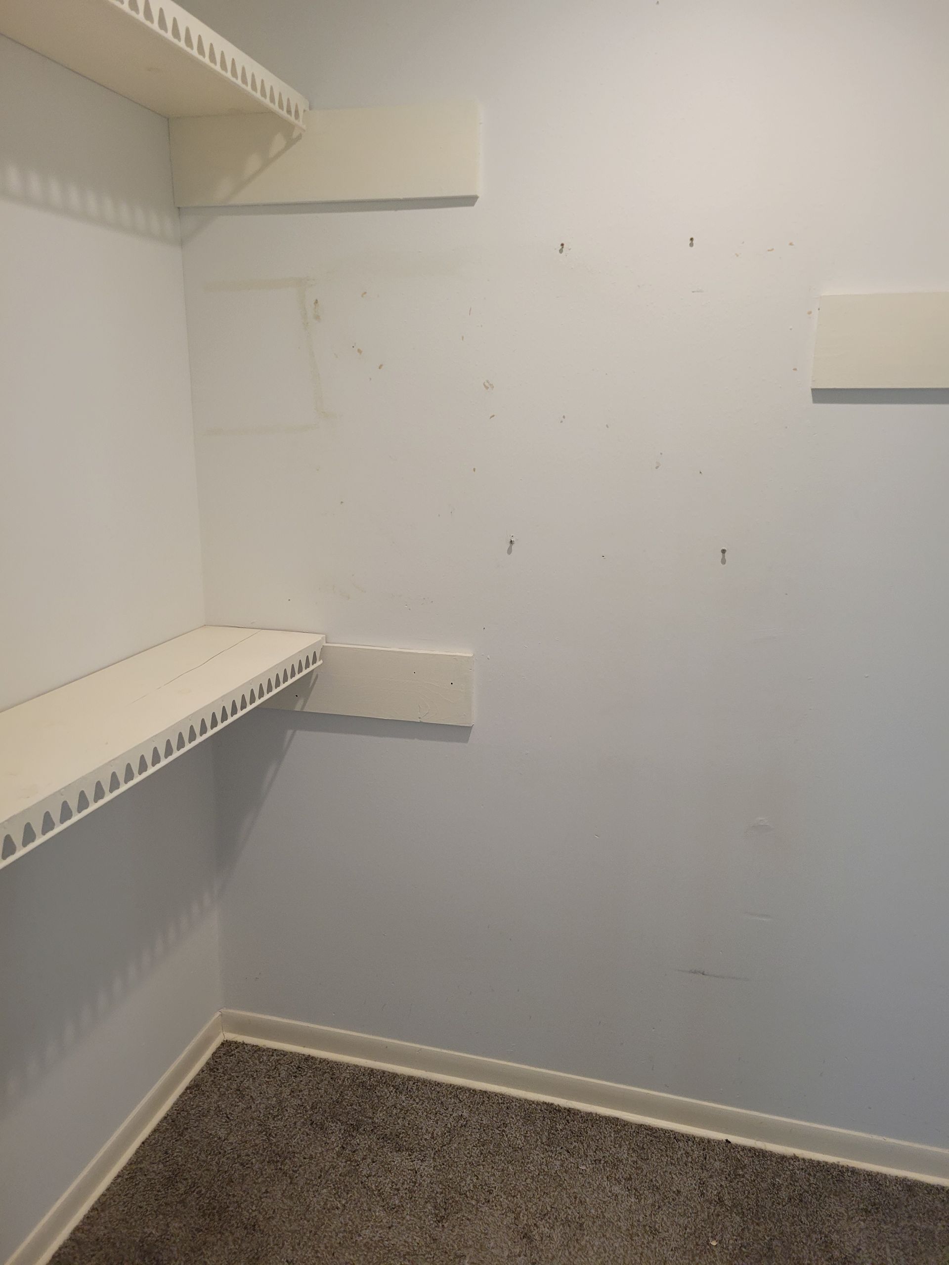Empty closet interior with white shelves and a gray carpeted floor. White walls.
