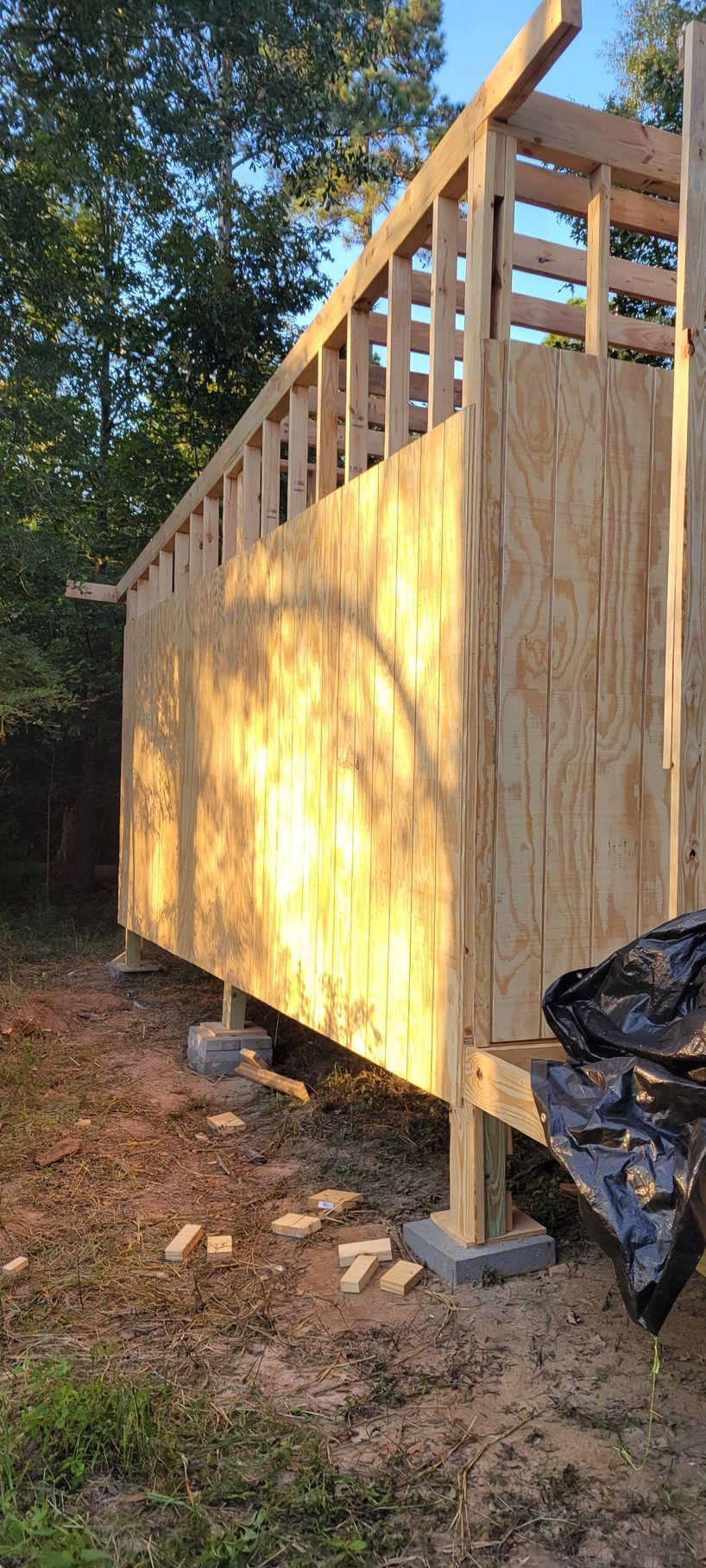 Construction of a wooden shed with plywood walls. The structure is raised on concrete blocks outdoors.
