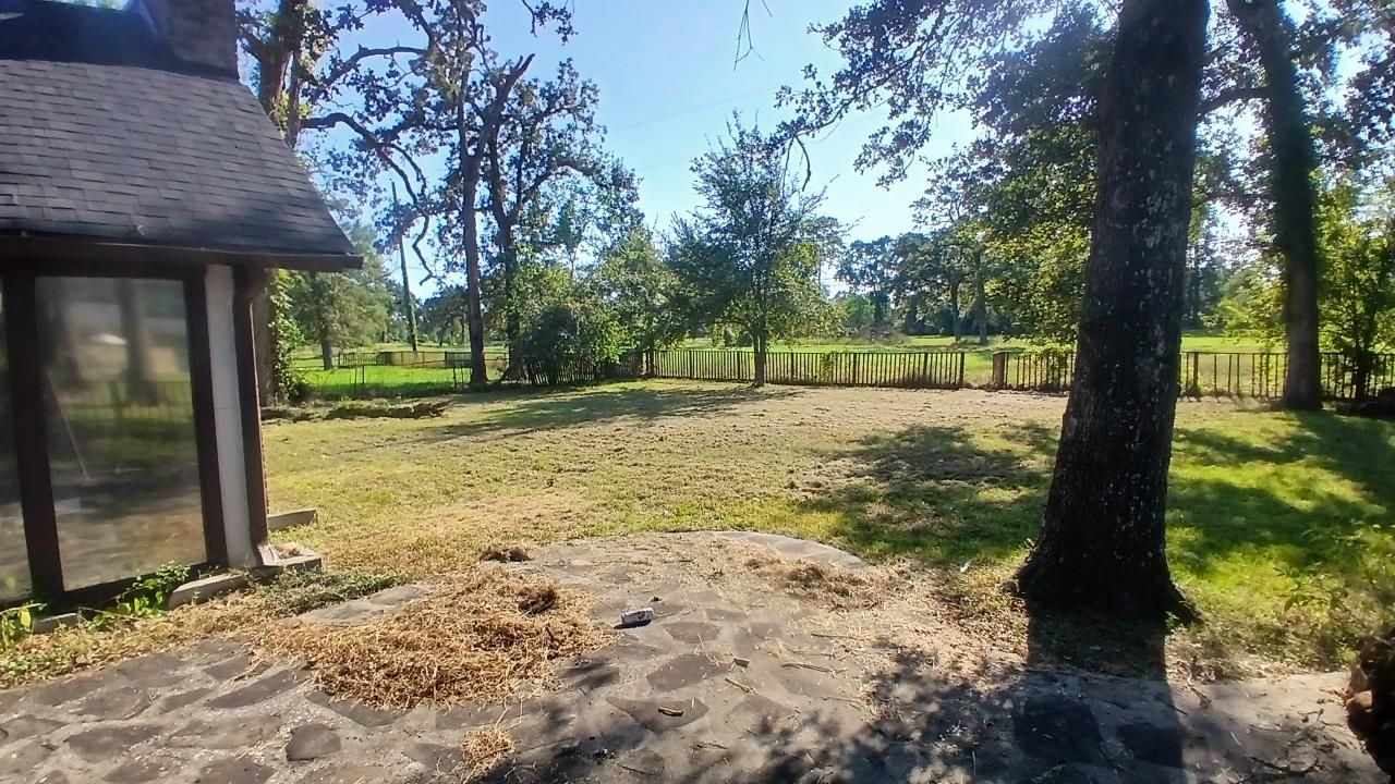 Lawn in a yard, trees, building on left, blue sky.