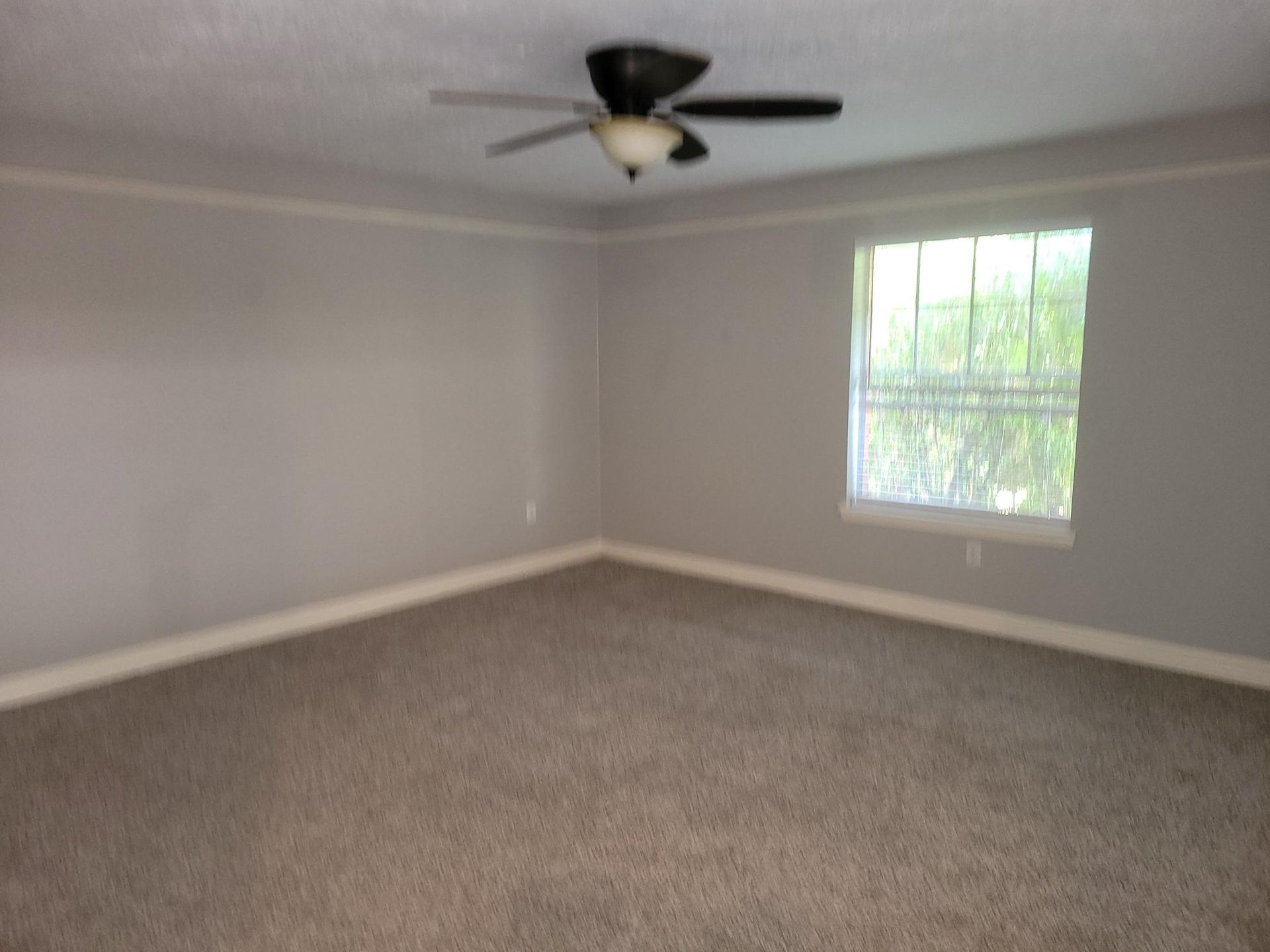Empty room with grey walls, white trim, and brown carpet. Window and ceiling fan.