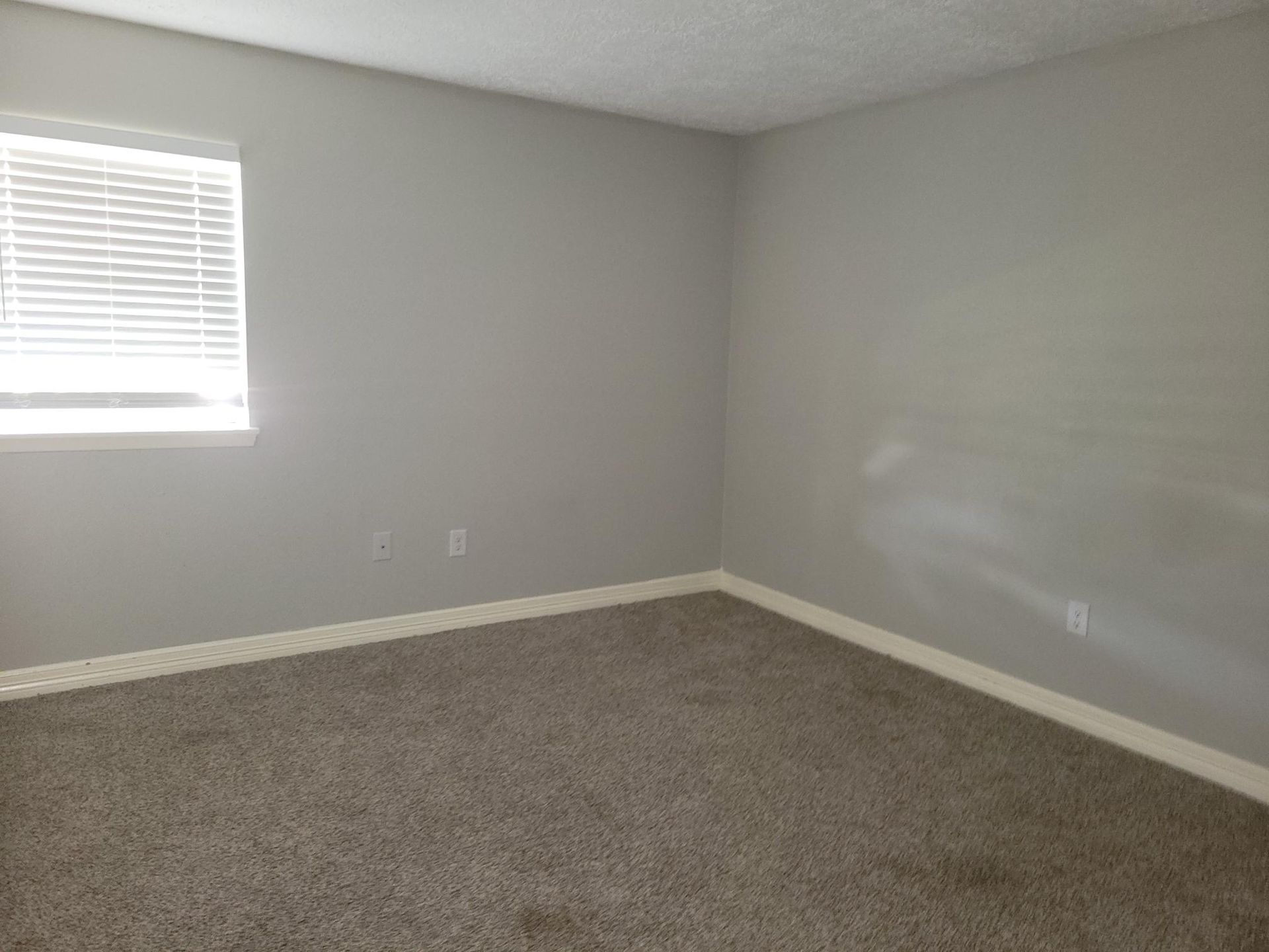 Empty room with gray walls, a window with blinds, and brown carpet.