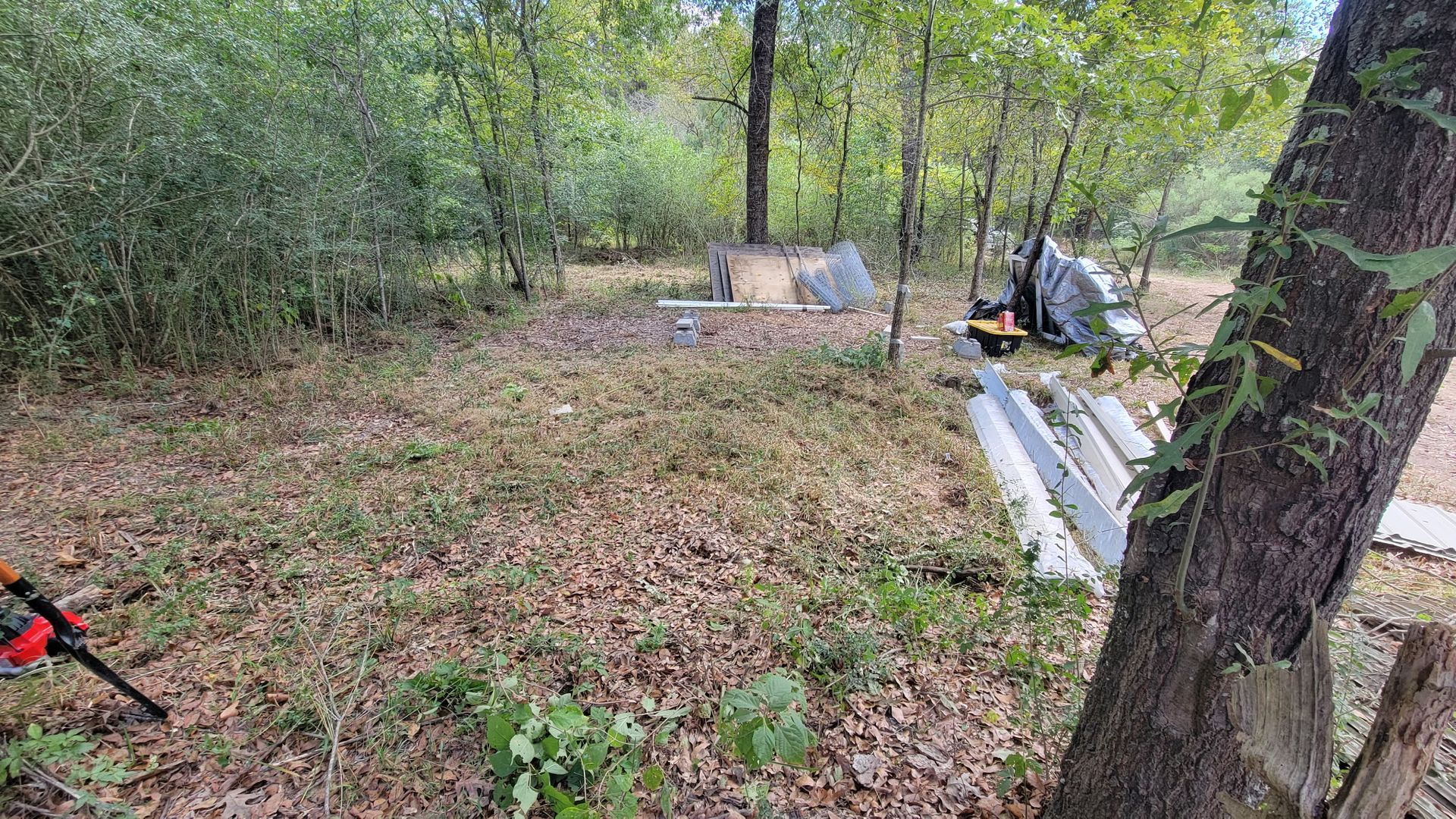 Wooded area with scattered debris and a few trees.