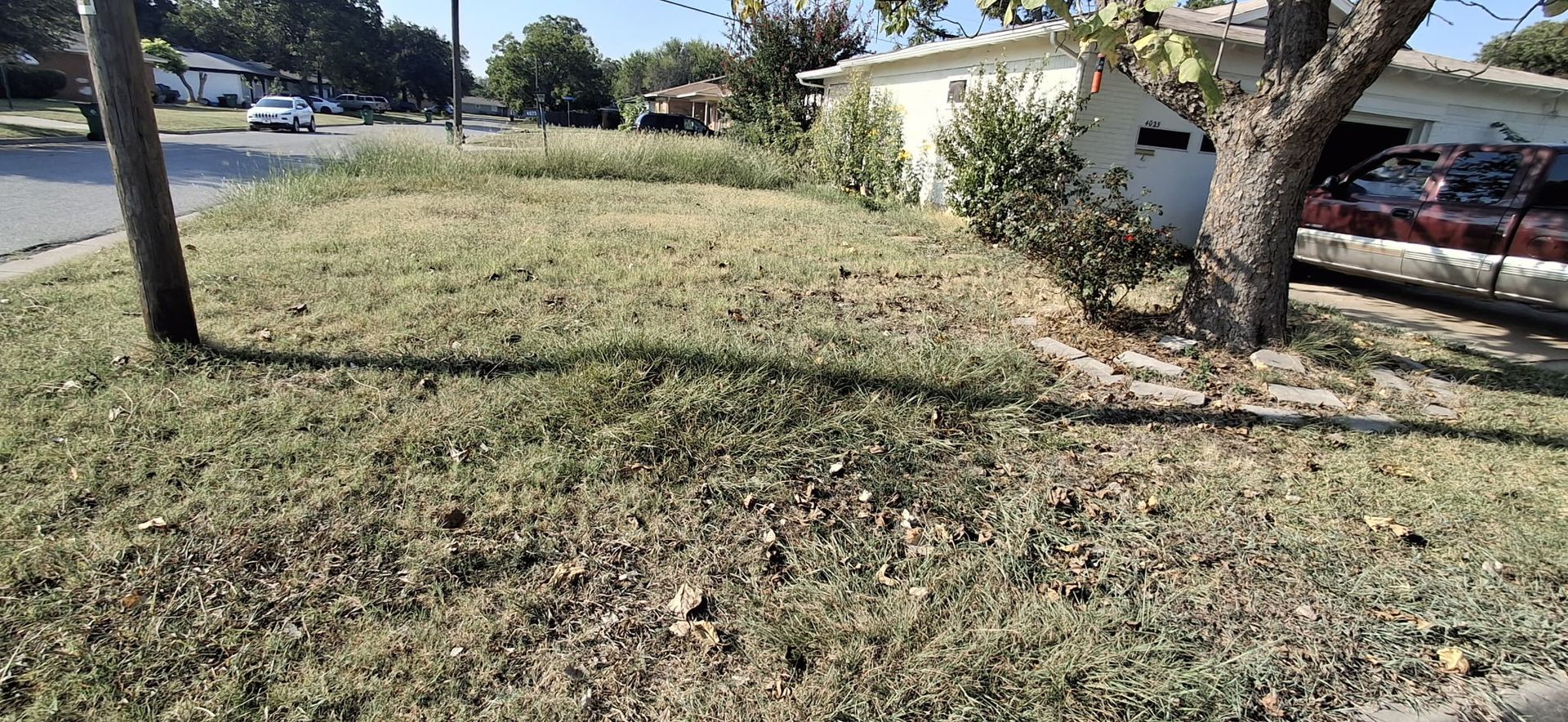 Grassy yard in front of a white building with a tree trunk on the right and utility pole on the left.