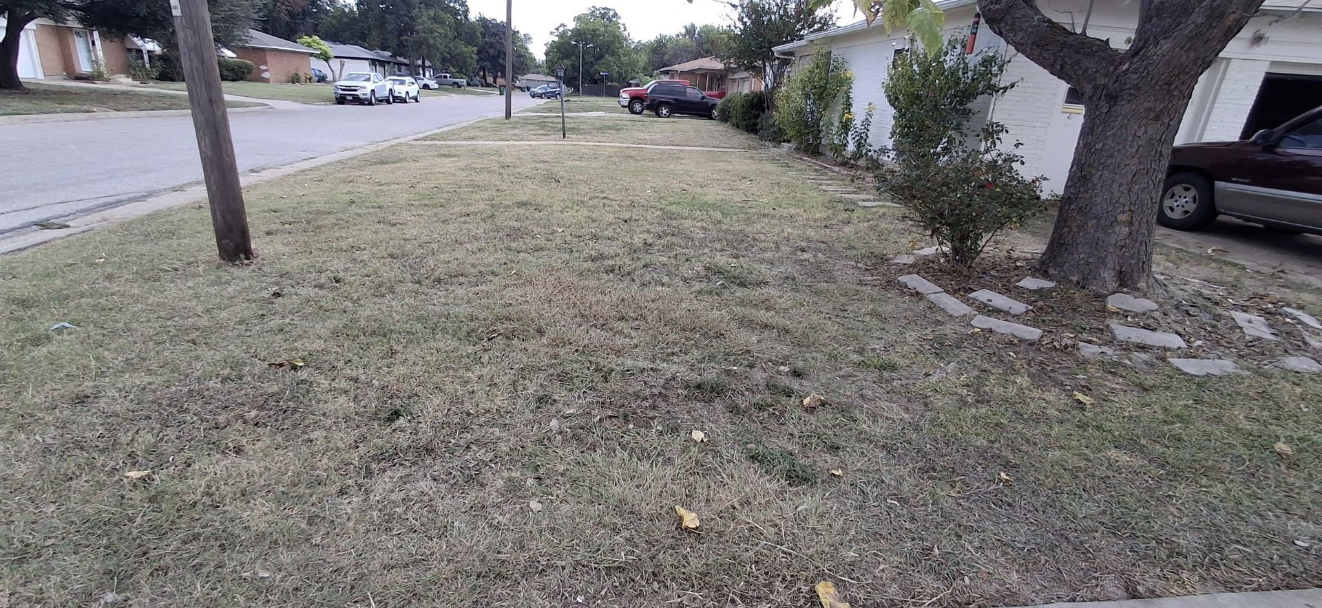 Grassy lawn next to a road, power pole, and parked cars. A tree is near the white wall of a house.