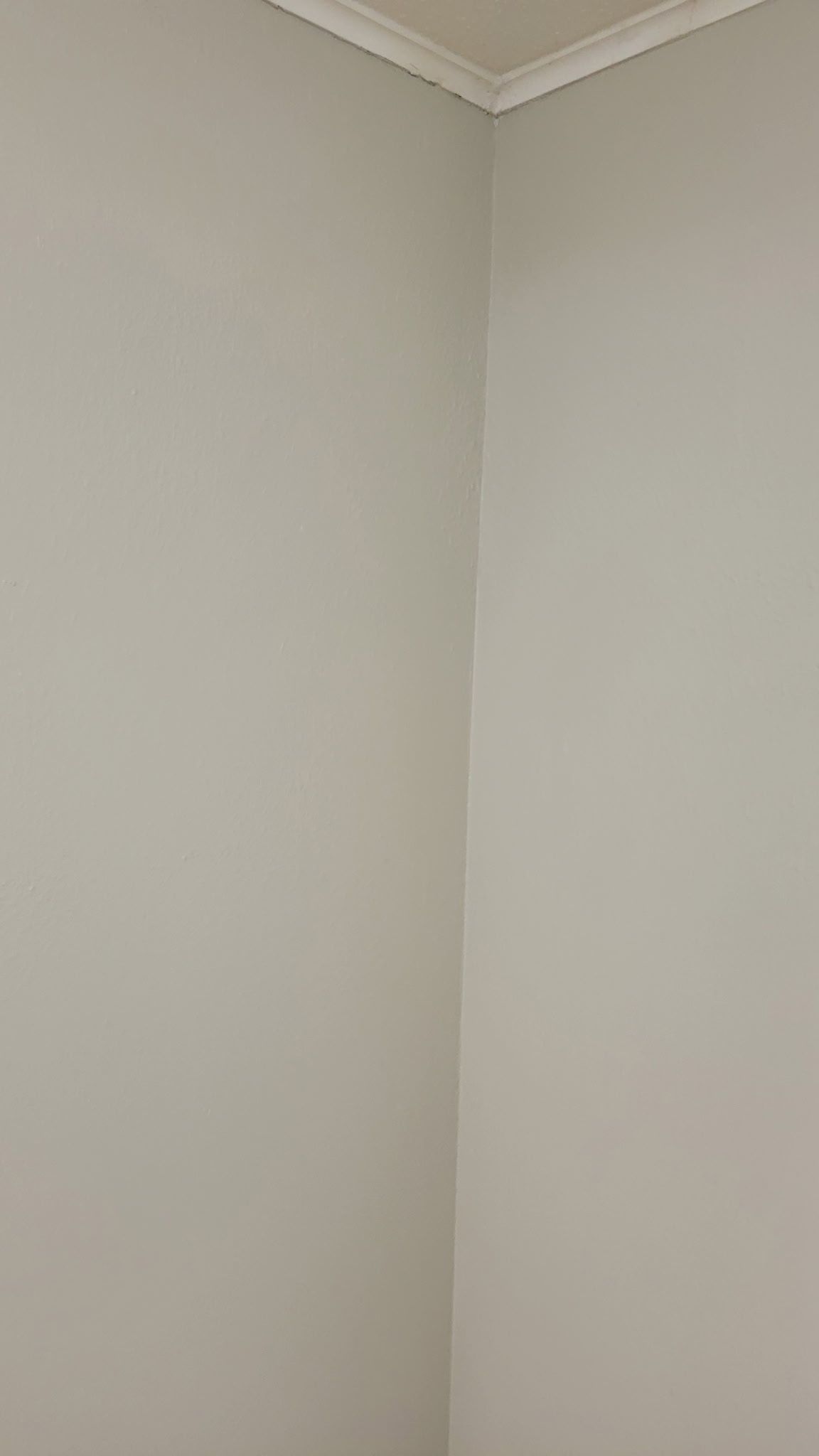 Corner of two light gray walls meeting at a right angle, with white crown molding.