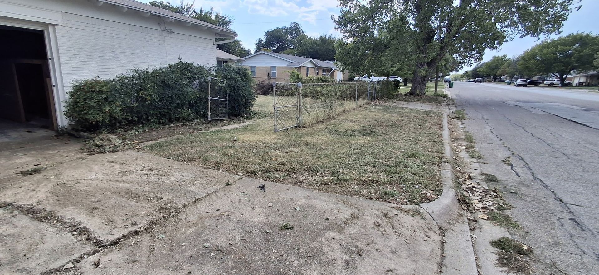 Grassy yard in front of a white house with driveway and a street lined with trees.