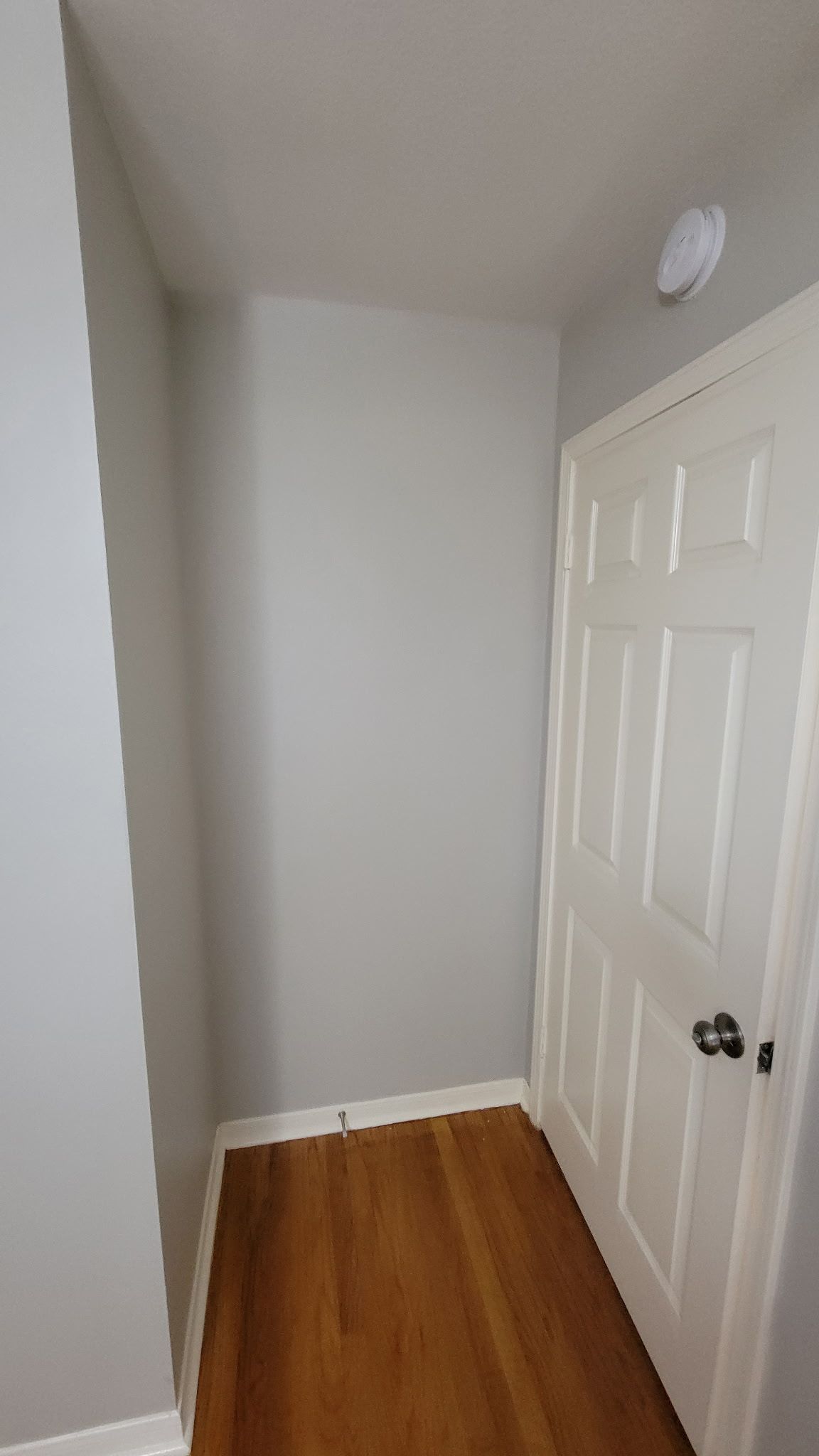 Narrow hallway with gray walls, wooden floor, and white door.