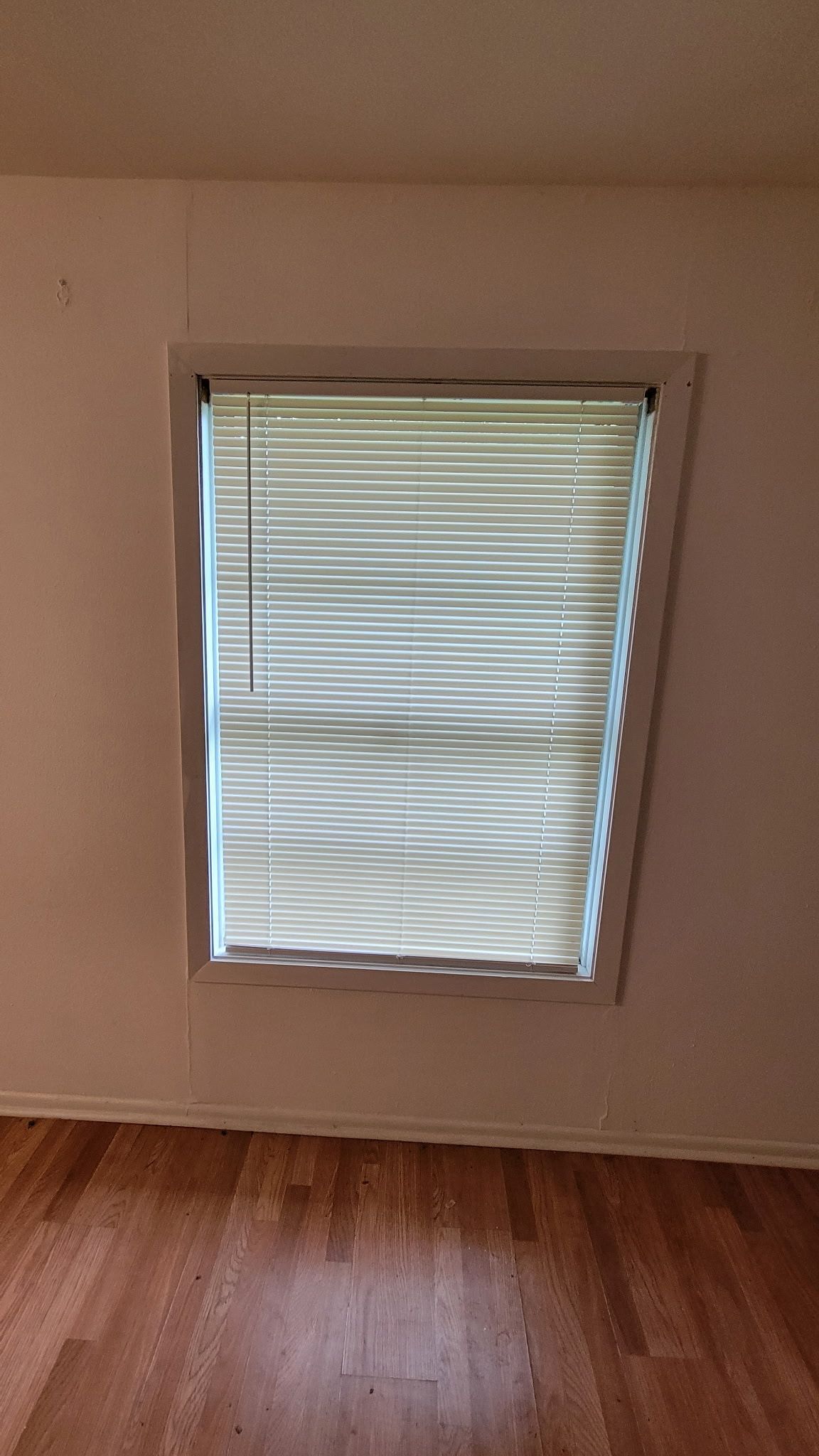 Window with white blinds, in a room with wood flooring and white walls.