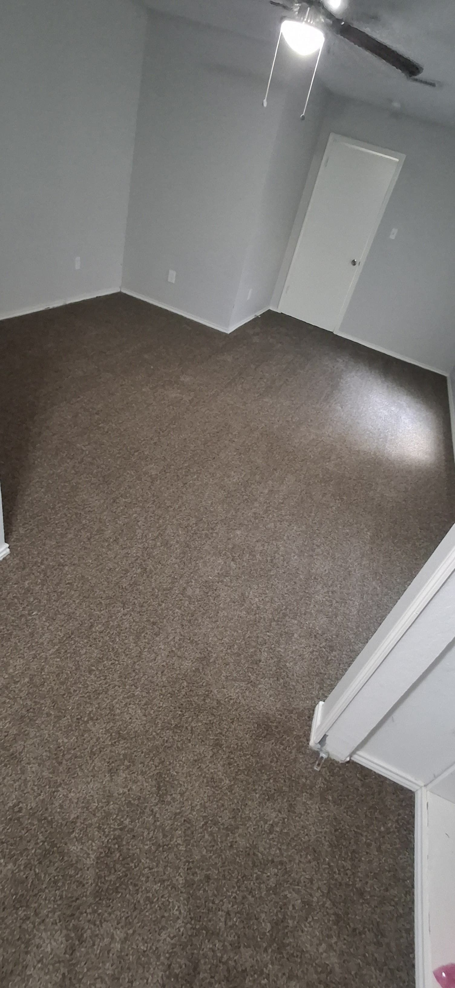 Room with brown carpet, white walls, and a ceiling fan. A white door is visible.